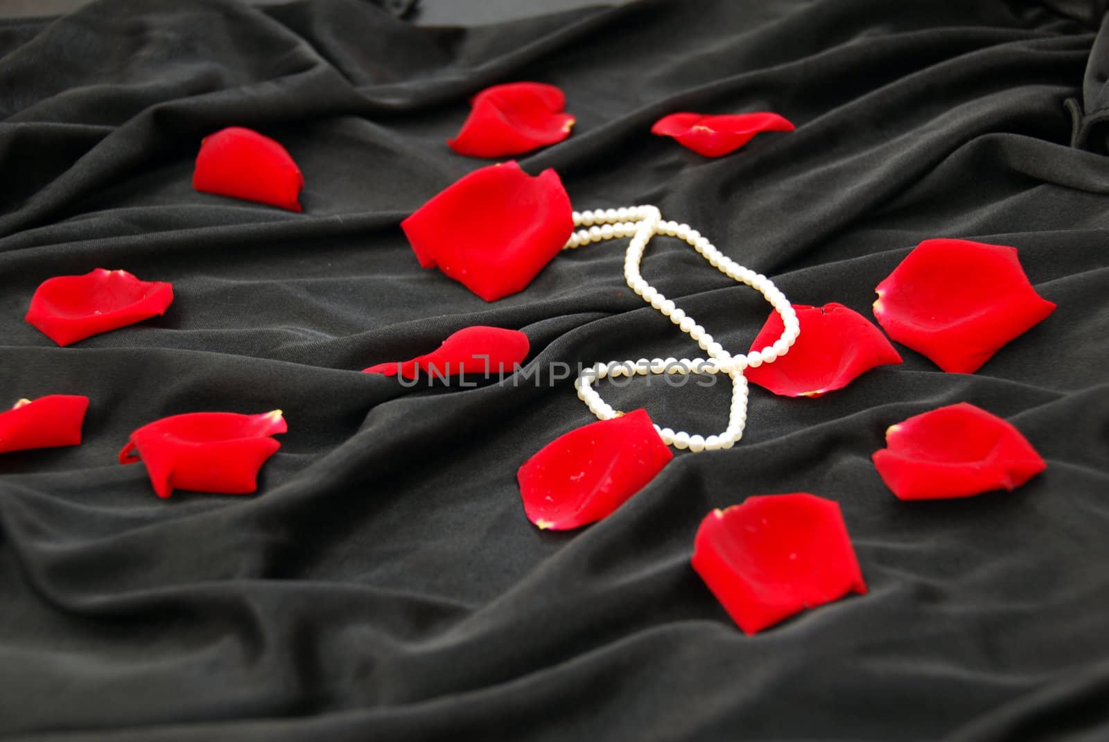 red roses and pearl necklace heart for the beloved valentine