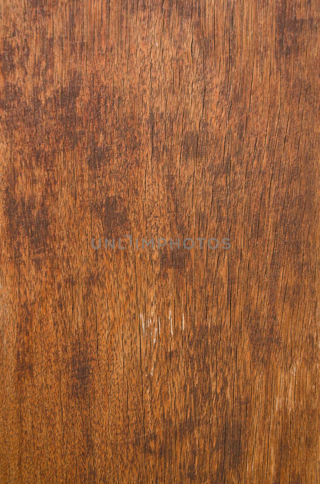 Wood texture by homydesign