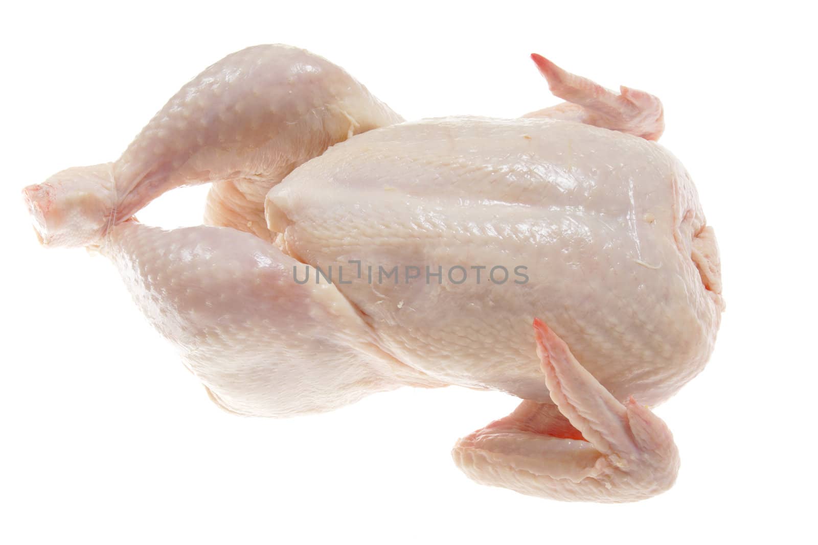 raw chicken photo on the white background