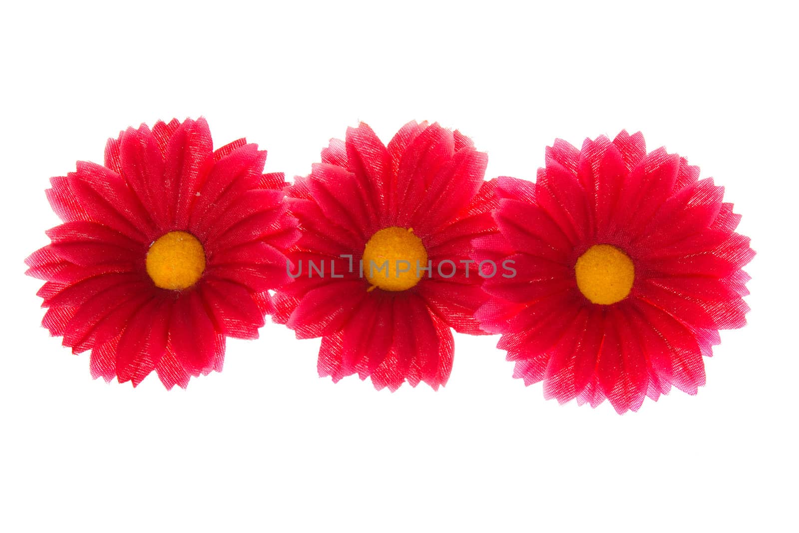 red flowers photo on the white background