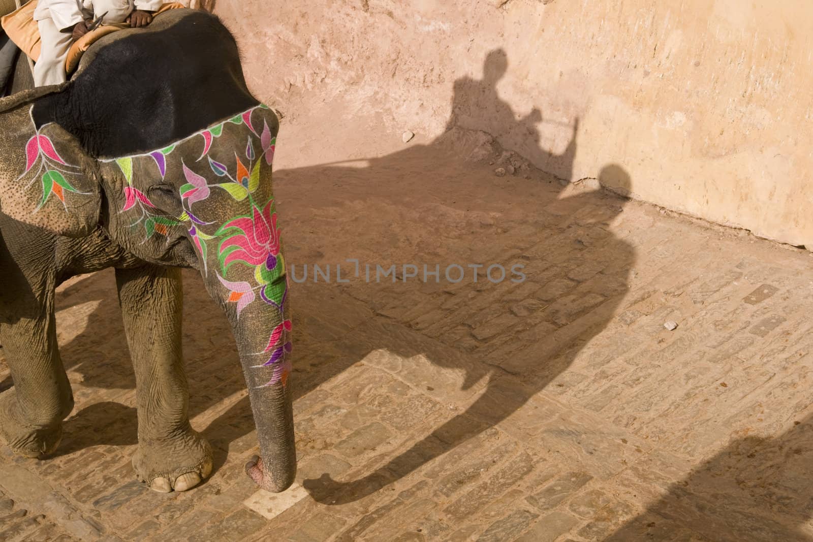 Decorated elephant transporting tourists to Amber Fort, Jaipur, Rajasthan, India.
