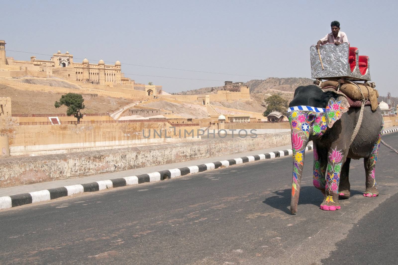 Decorated elephant on the road at Amber Fort in Jaipur, Rajasthan, India.