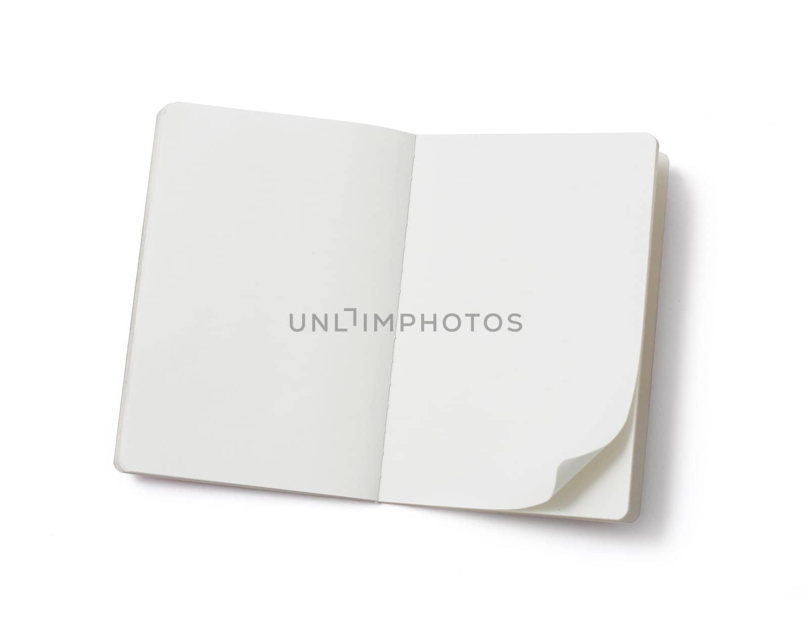 Blank notebook by leeser