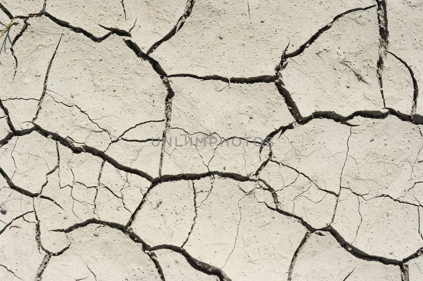 Detail of the parched earth
