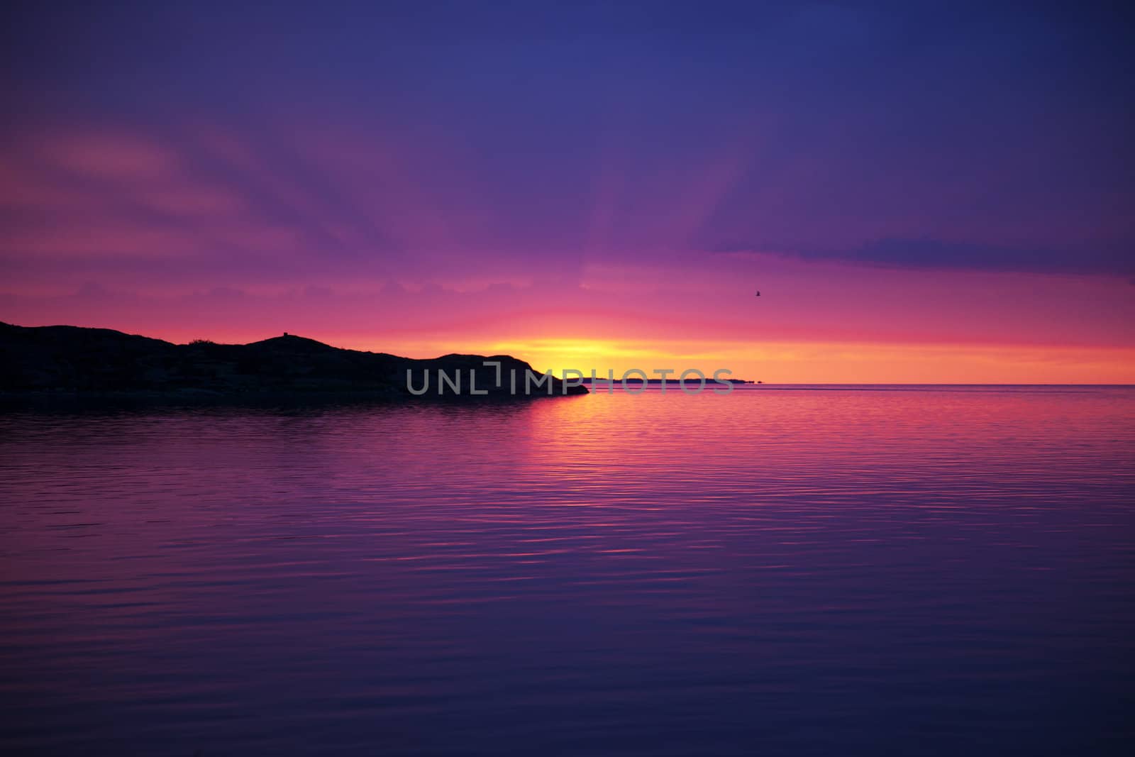 Beautiful sunset on the beach