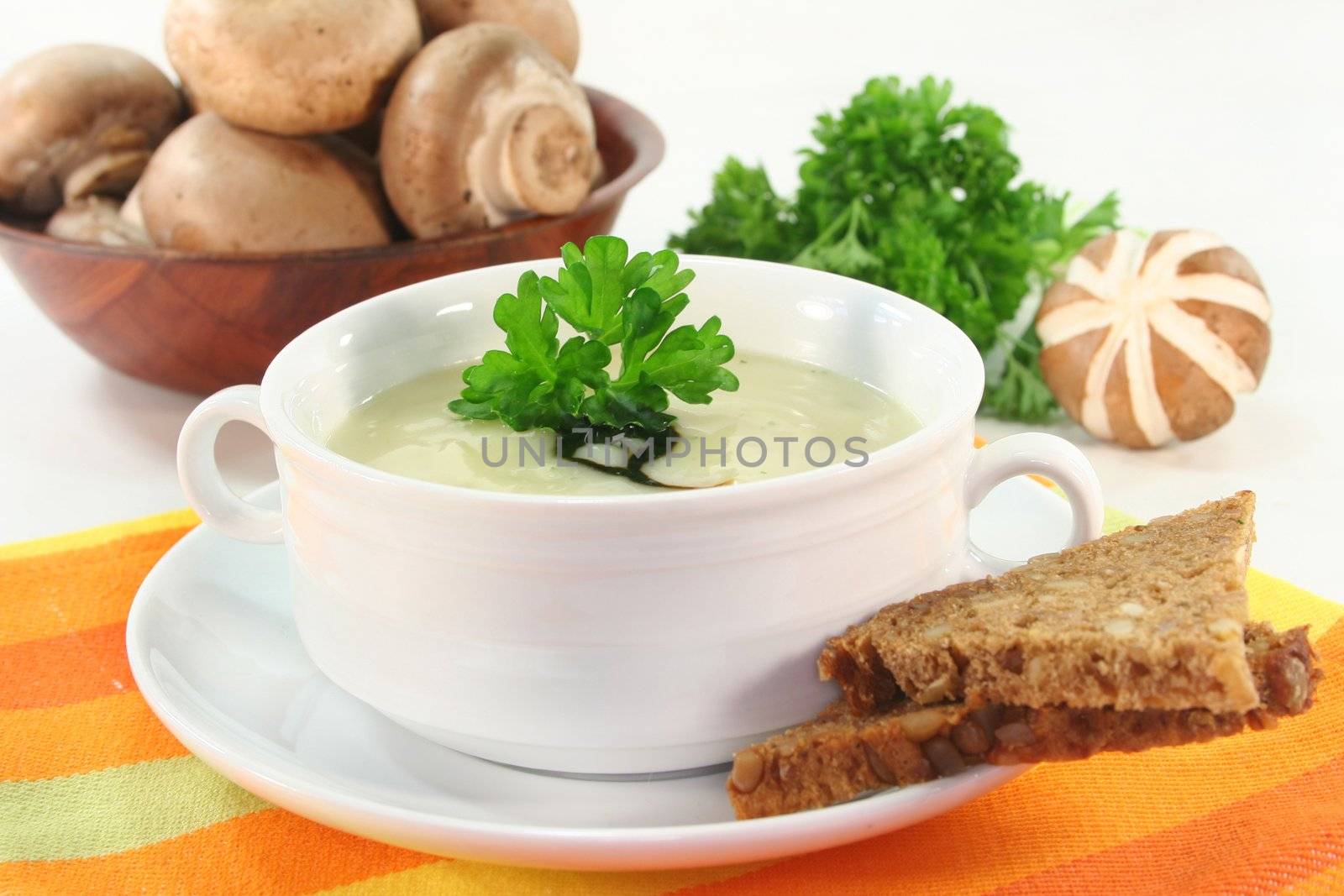 Cream of mushroom soup by silencefoto