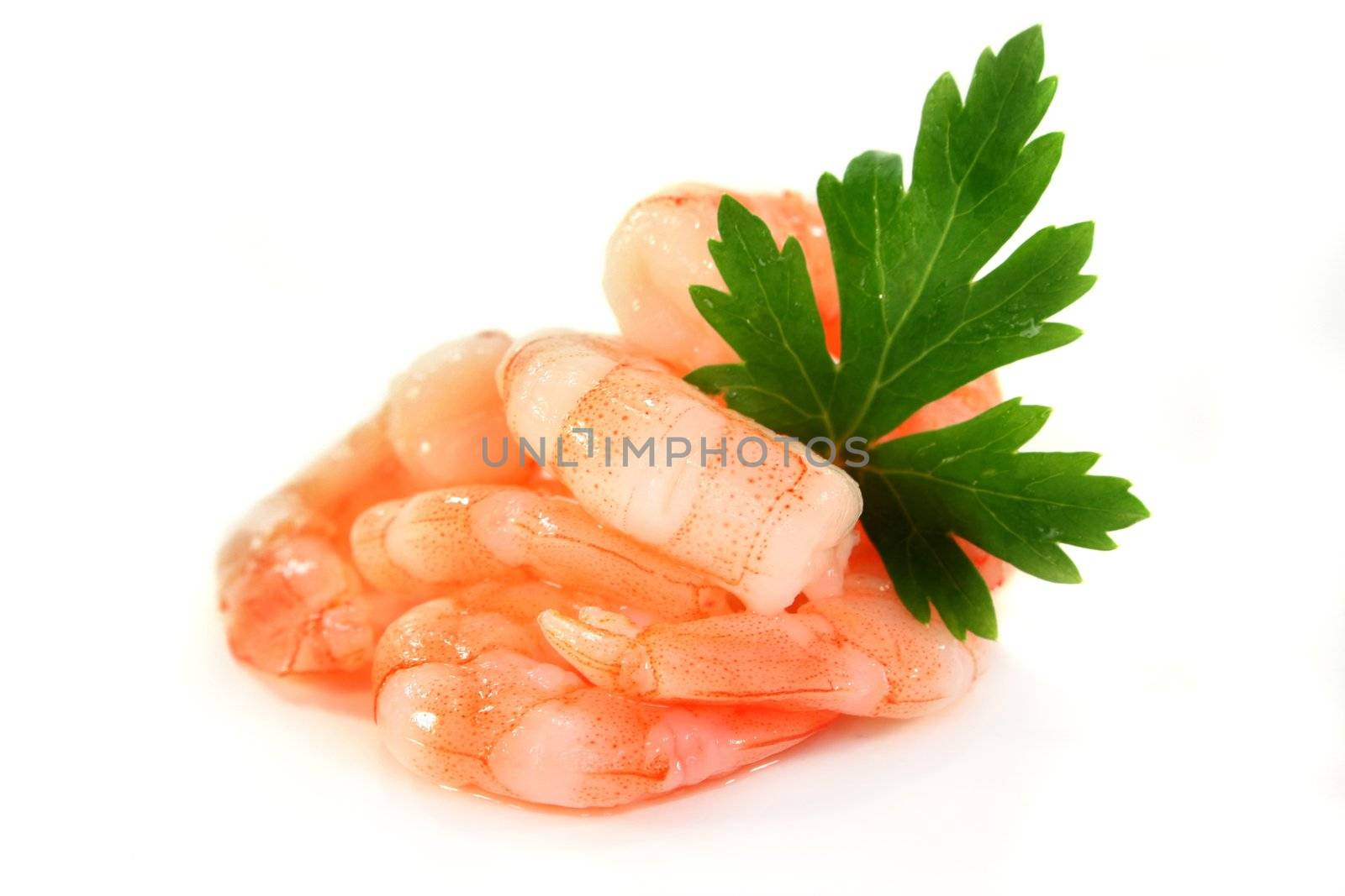 fresh shrimp with parsley on a white background