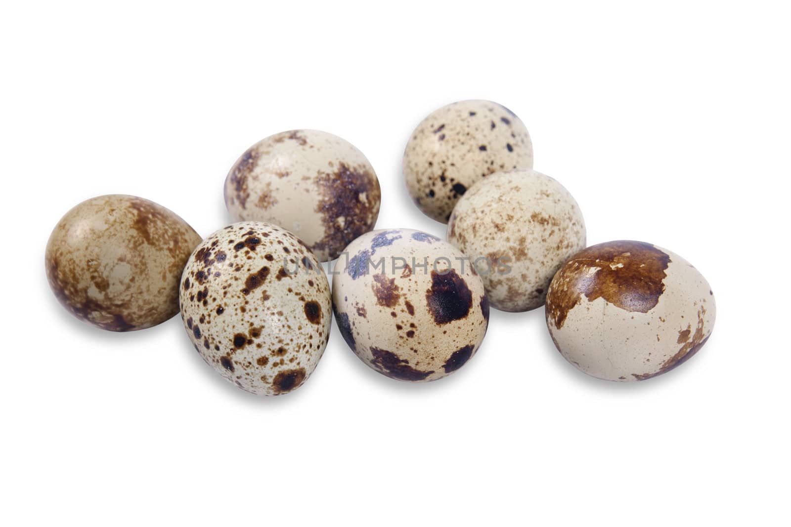 quail eggs isolated on white with clipping path