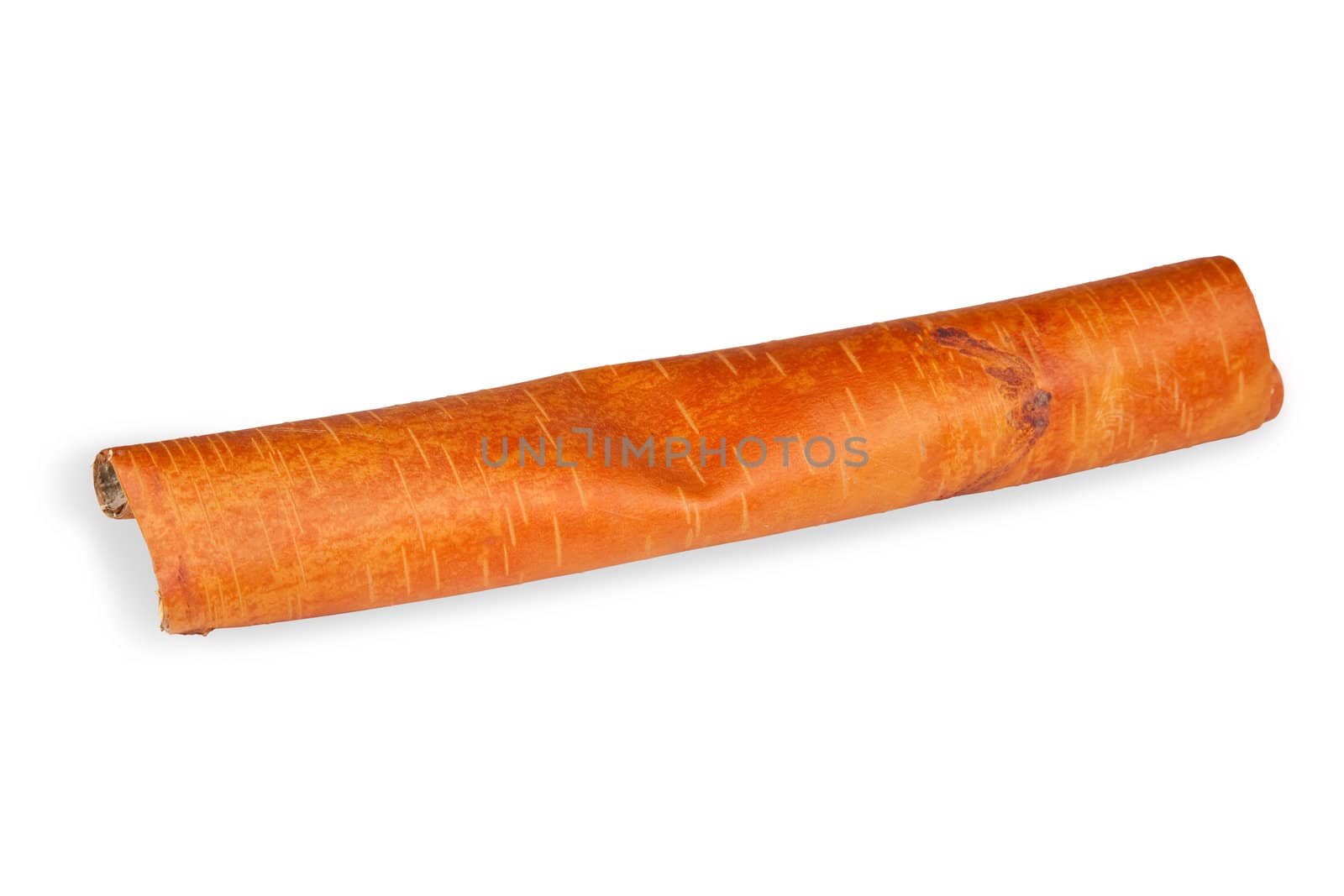 Roll of birch bark isolated on white with clipping path