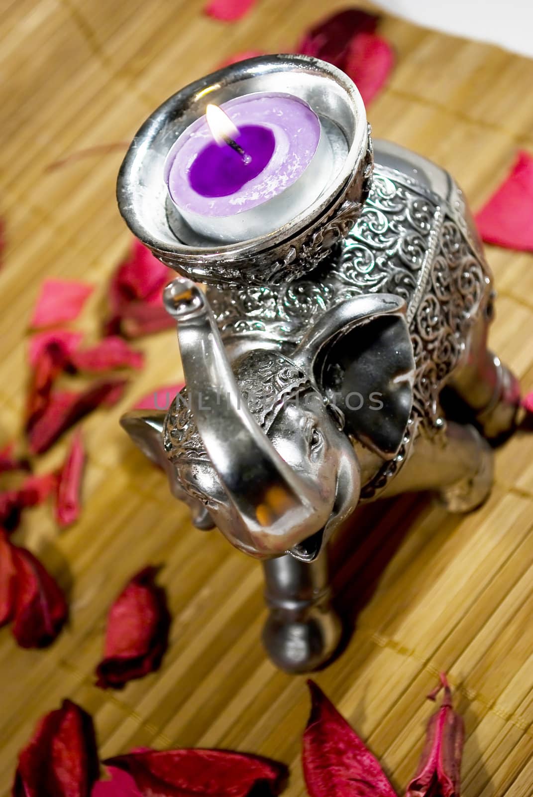 silver elephant statue with little purple candle and red dry flowers over wooden texture