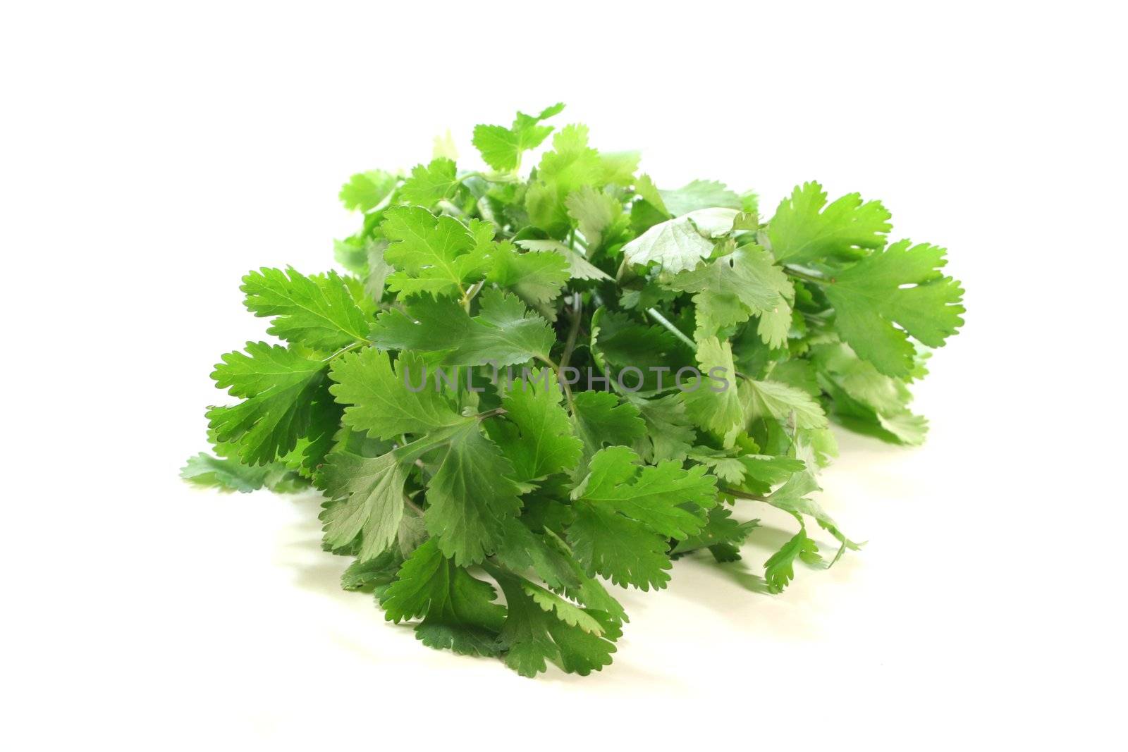 Coriander by discovery