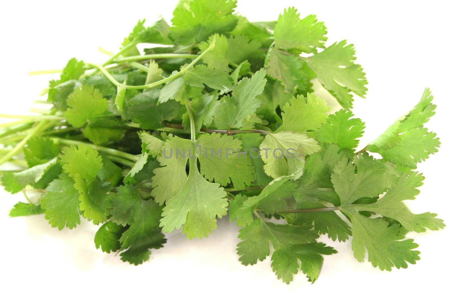 Coriander by discovery