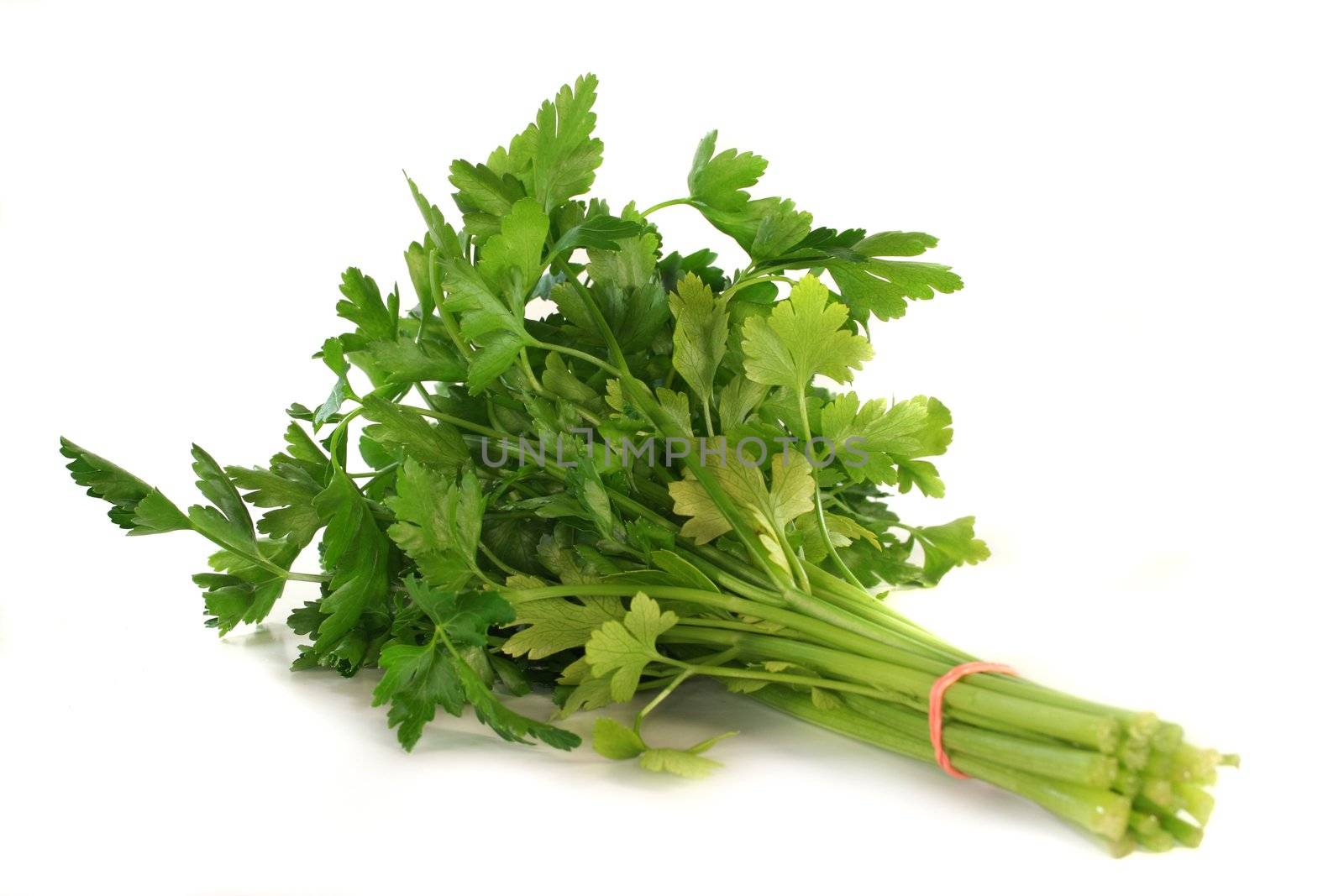 a bunch of fresh parsley on a white background