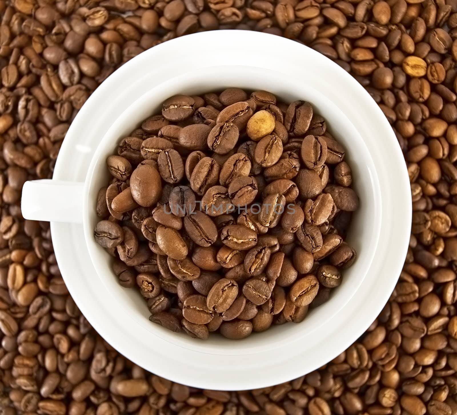 Coffee beans in a white porcelain cup on a background of coffee beans