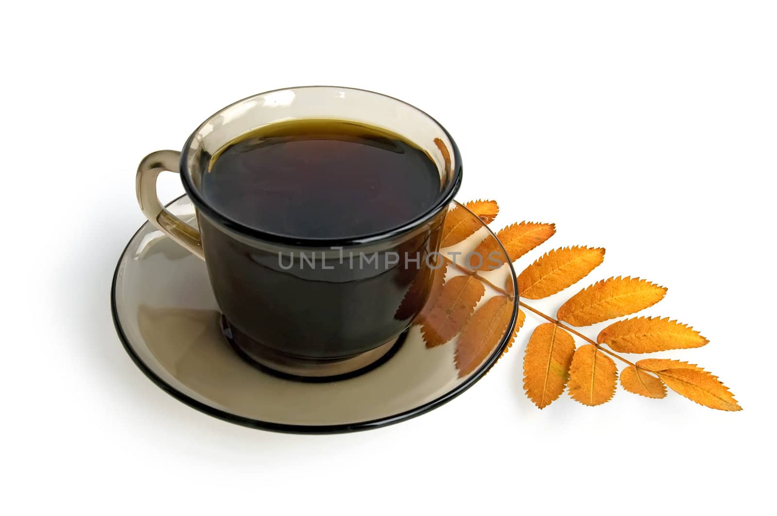 Coffee in a brown glass cup with a mountain ash leaf isolated on white background