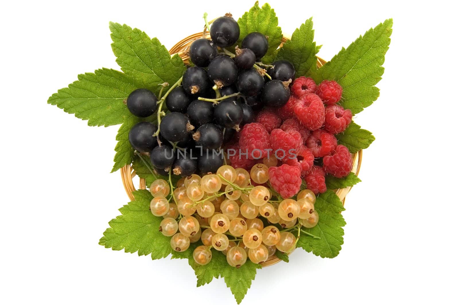 White and Black currant, red raspberry, currant, green leaves in a wicker plate isolated on a white background