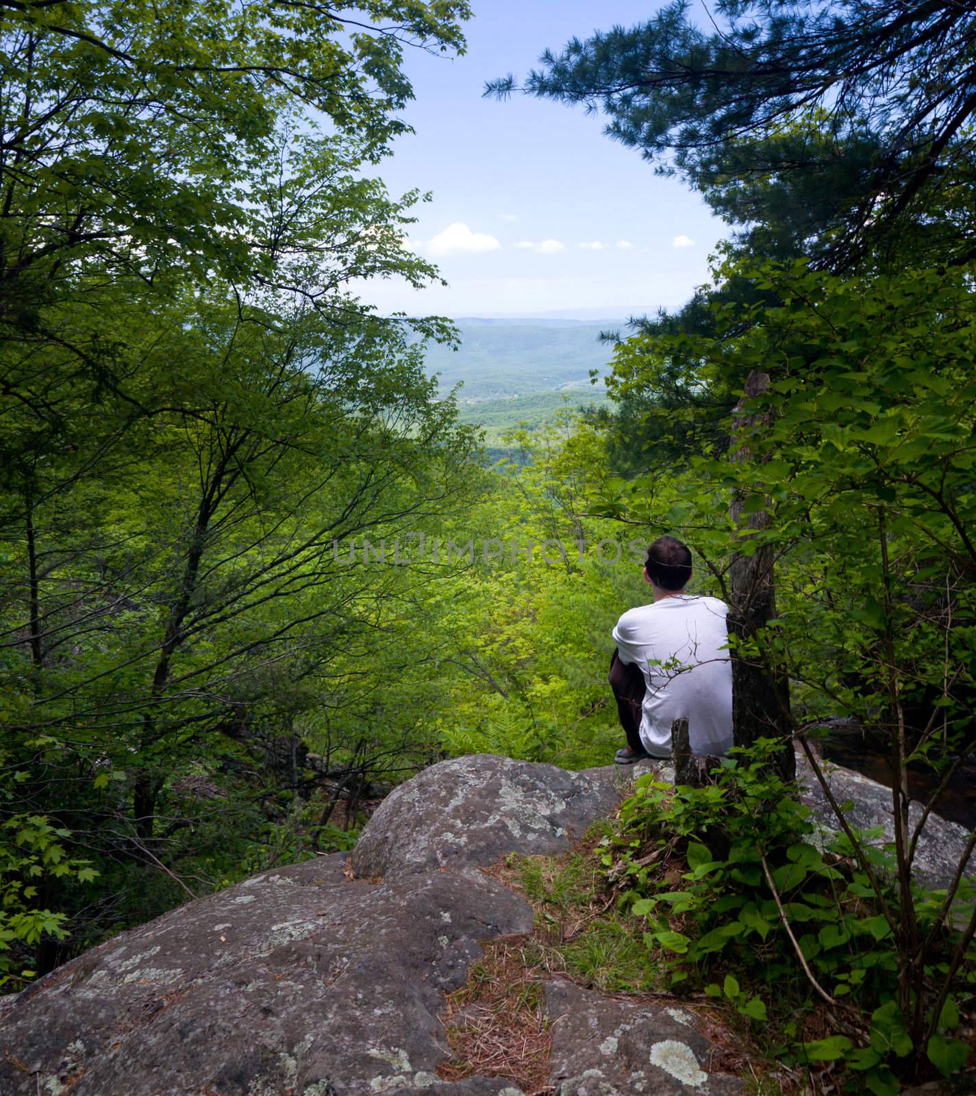 Hiker overlooks Shenandoah Valley by steheap