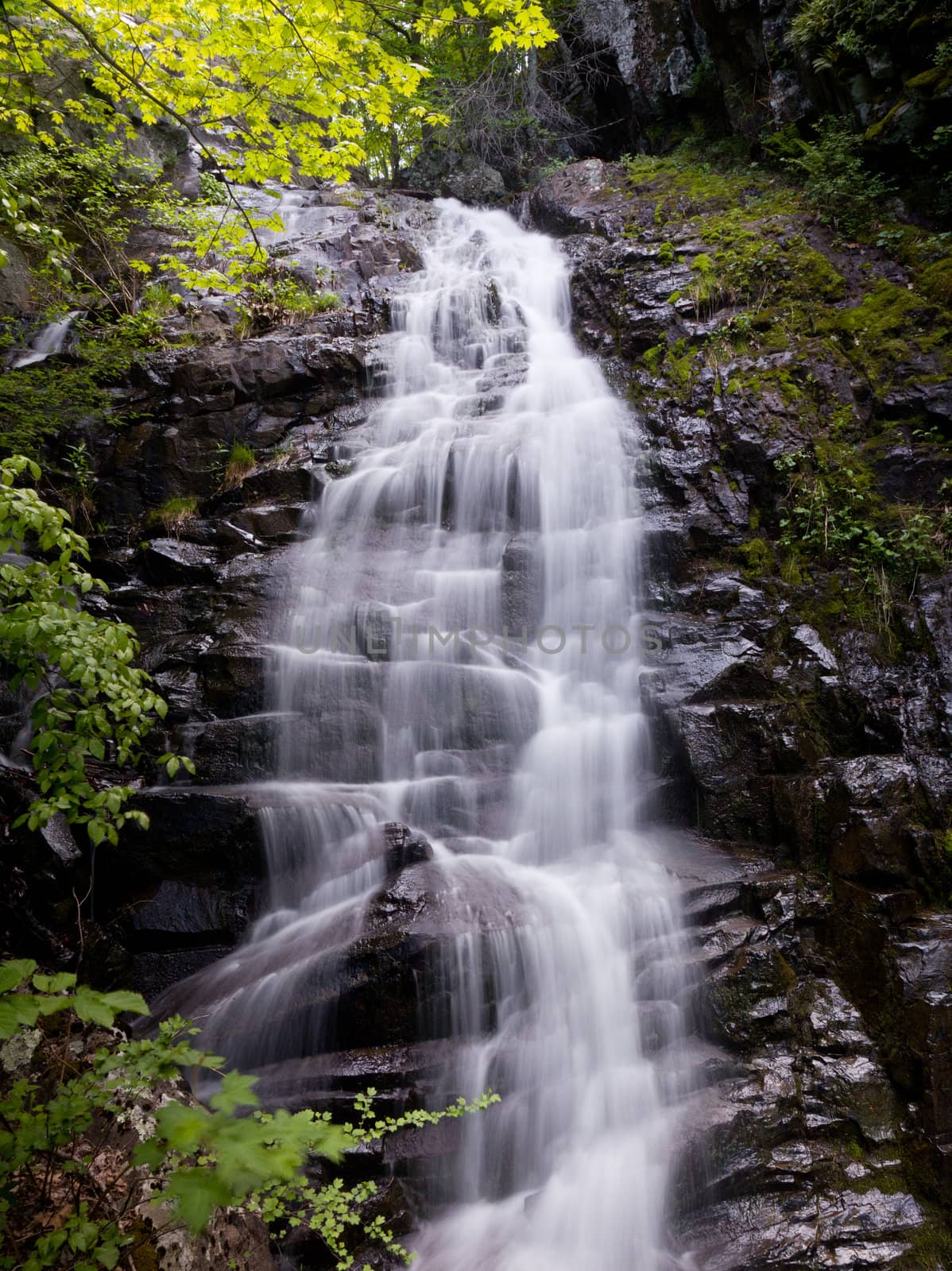Overall Run waterfall is the highest waterfall in Virginia if its sections are taken into account.