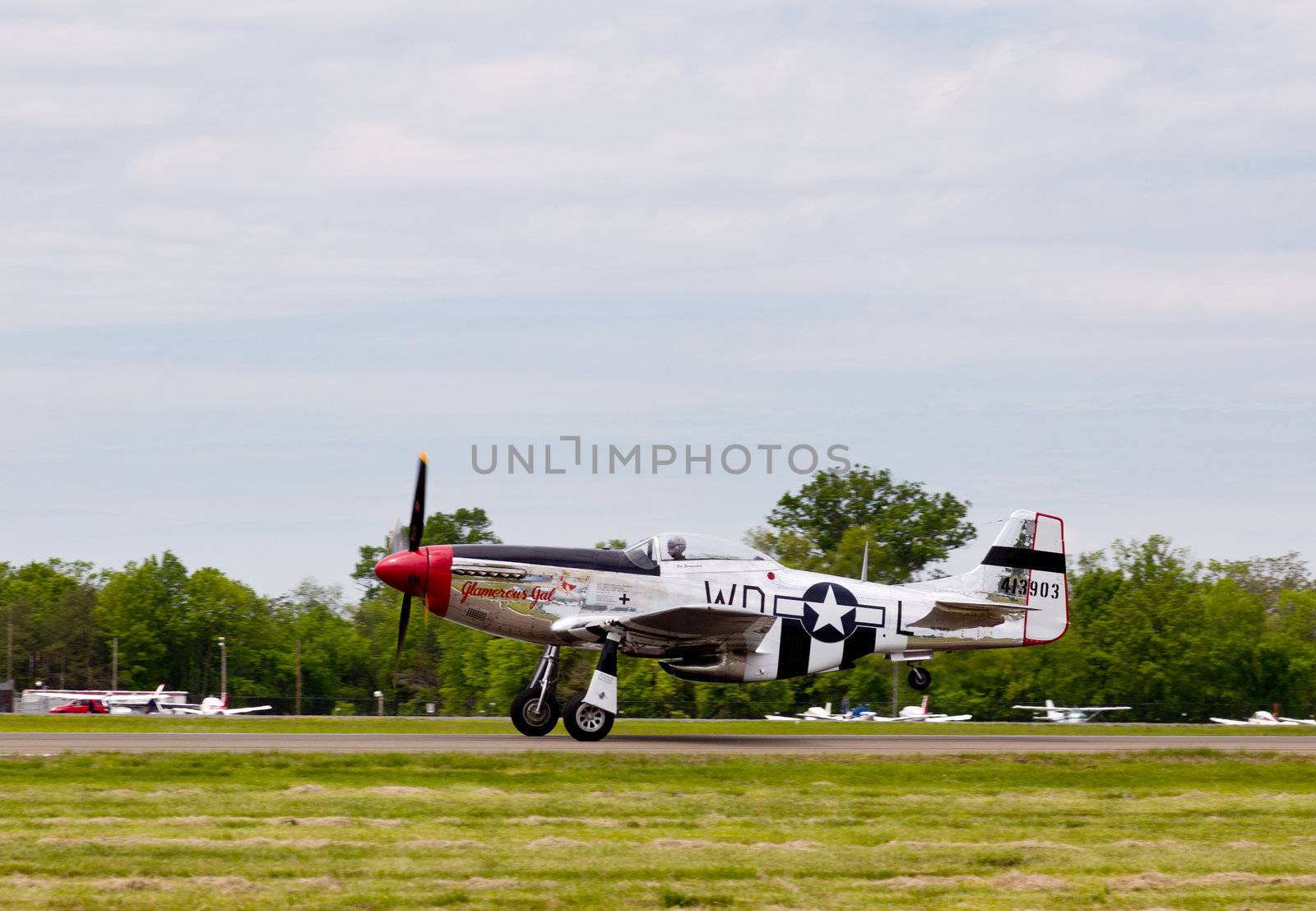 P-51 Mustang airplane by steheap