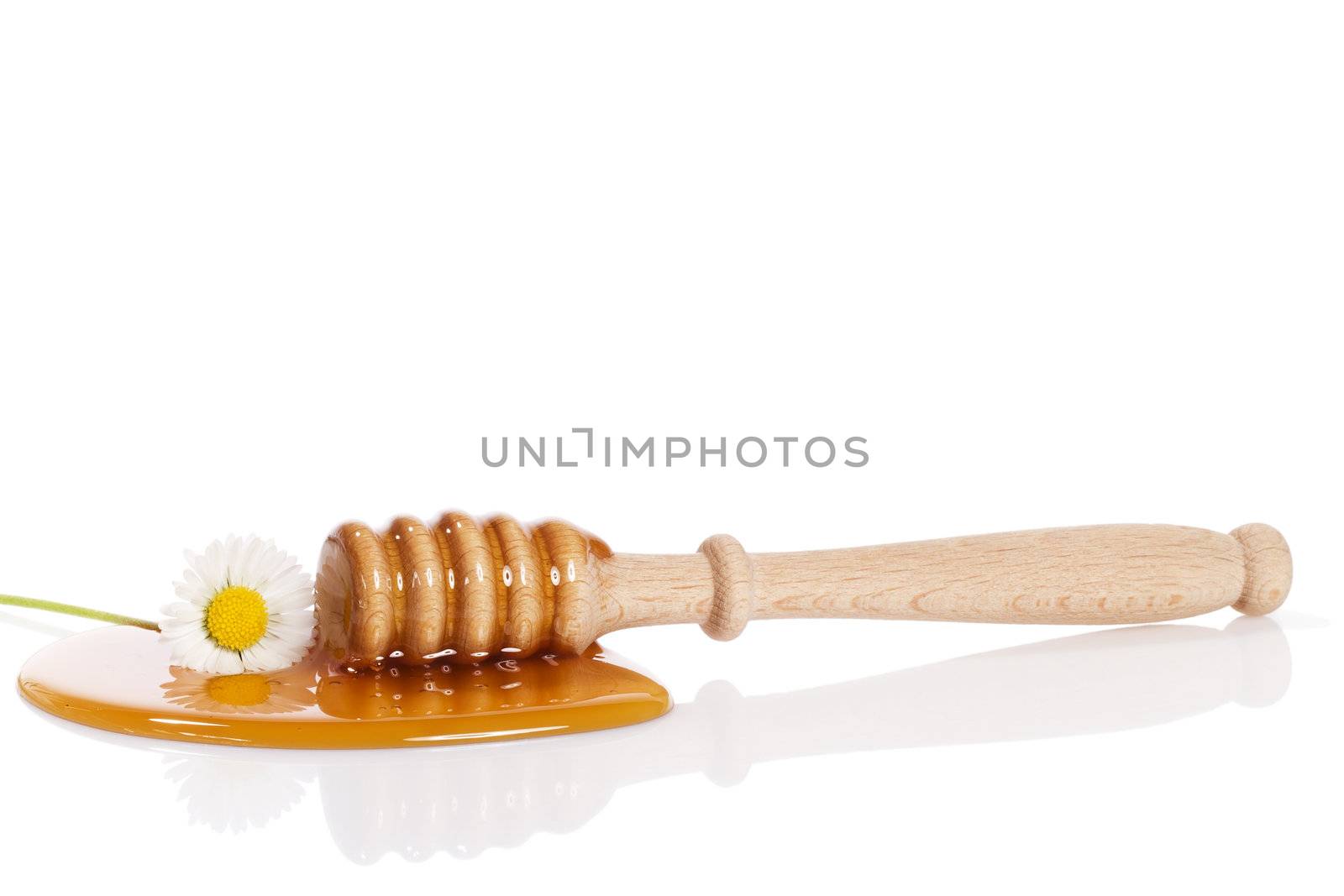 honey dipper and a daisy in a puddle of honey on white background