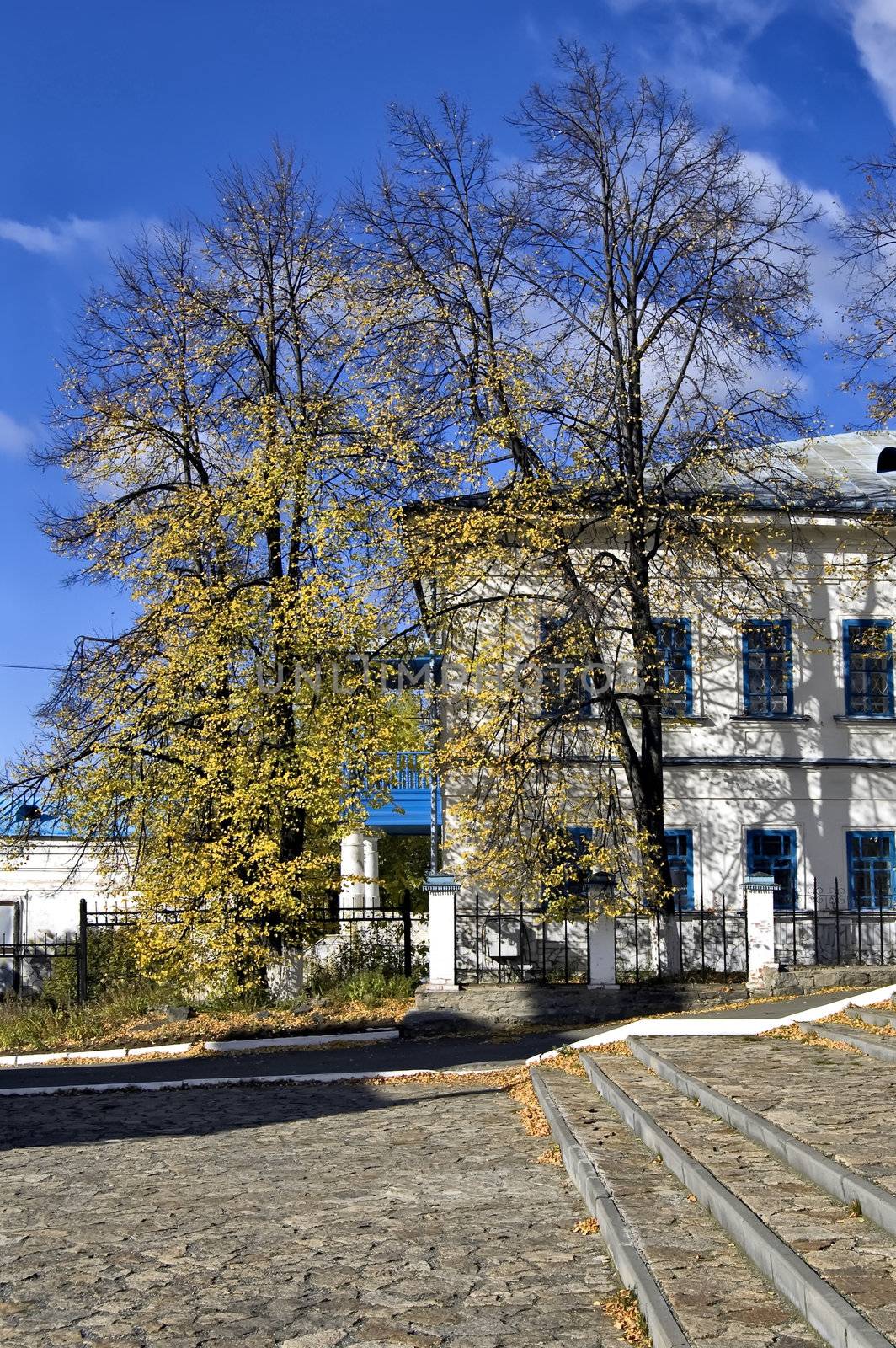 The angle of the white building with blue windows and roof, yellow leaves on the tree and the ladder against the blue sky and white clouds