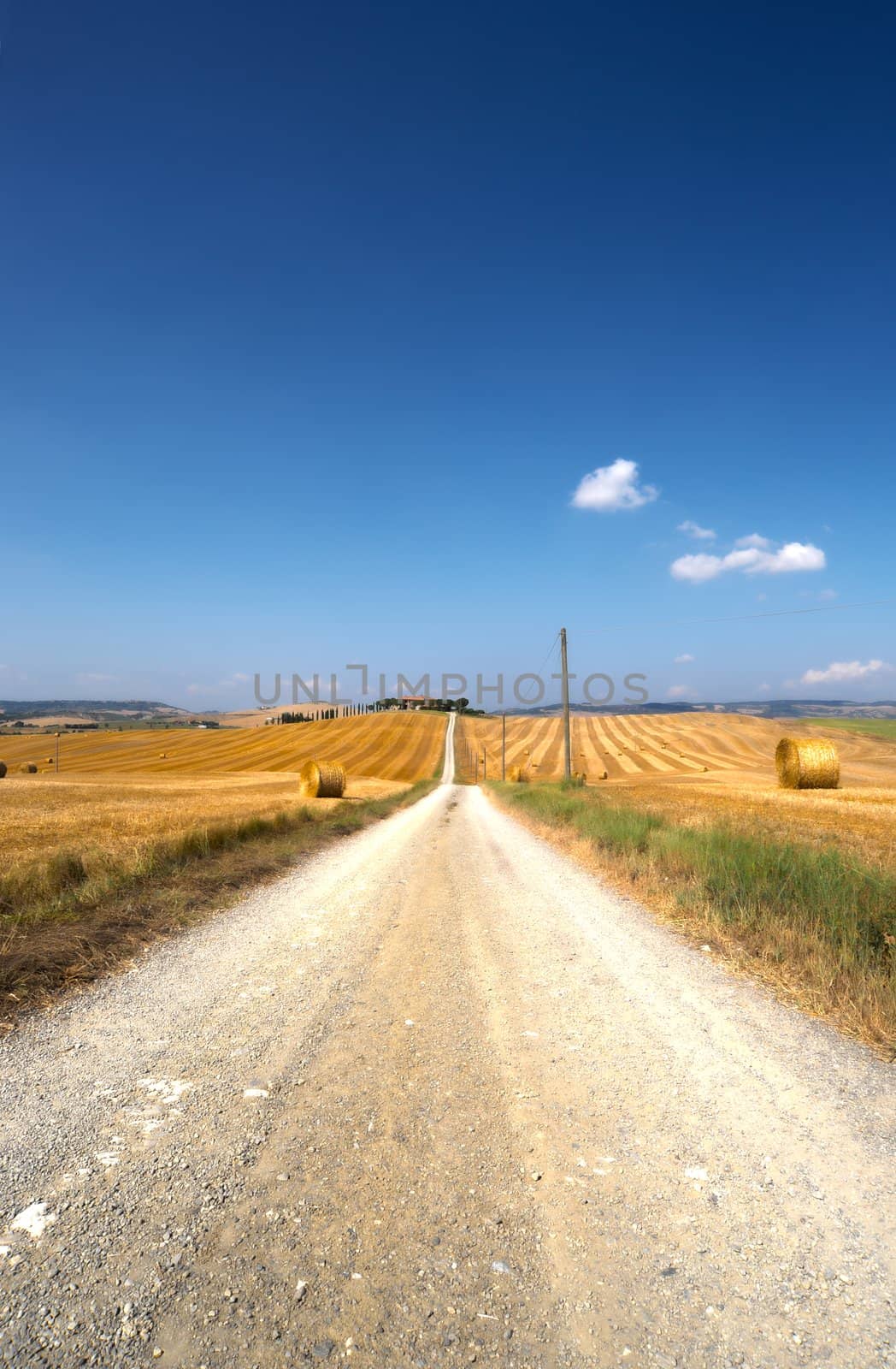 The Dirt Road Between The Fields Of Tuscany