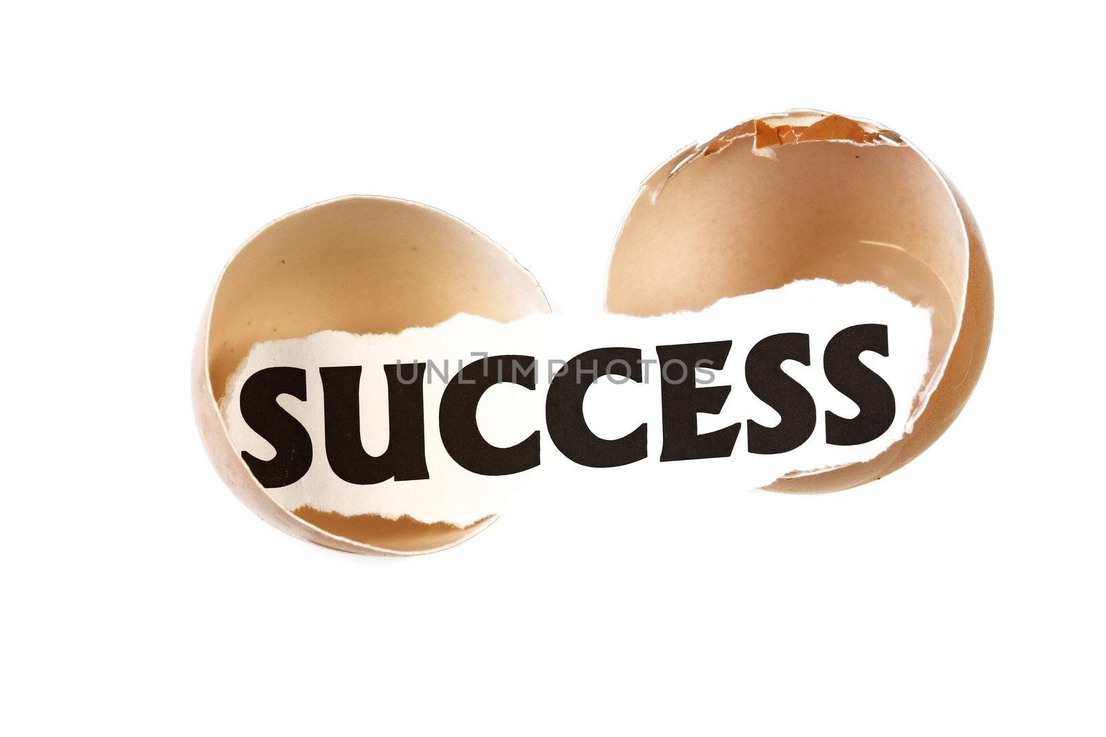 shell egg on white background with the word success
