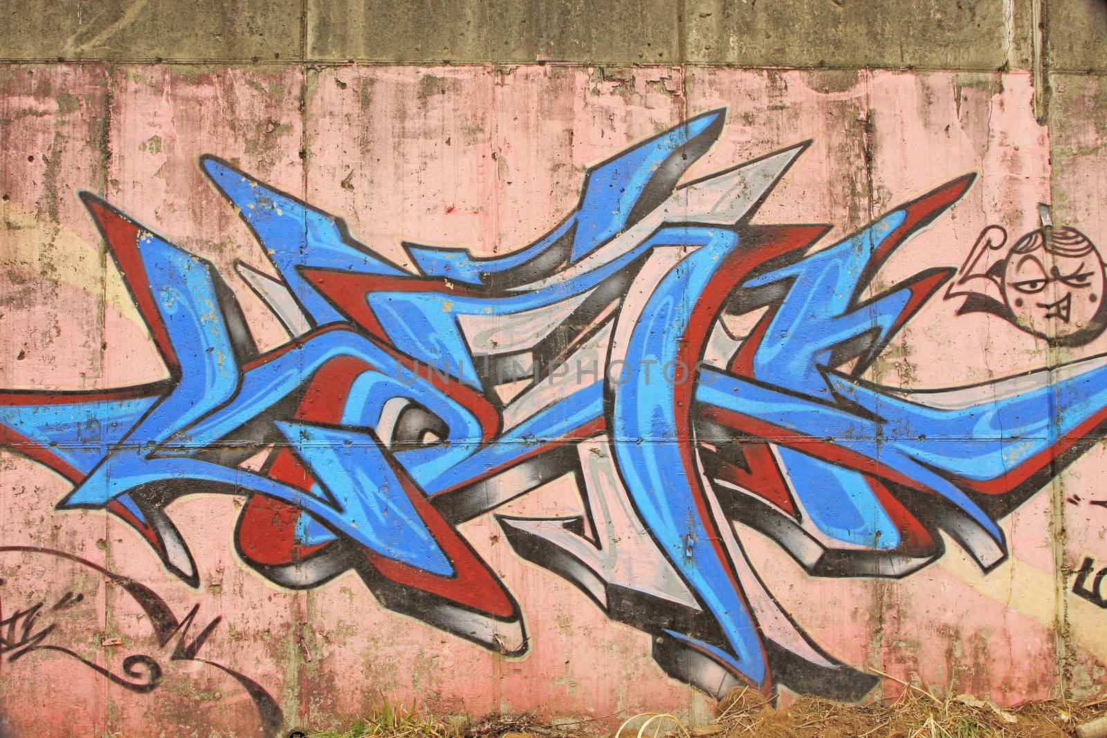Urban graffiti painted in the wall of Anyang river bridge in Korea.