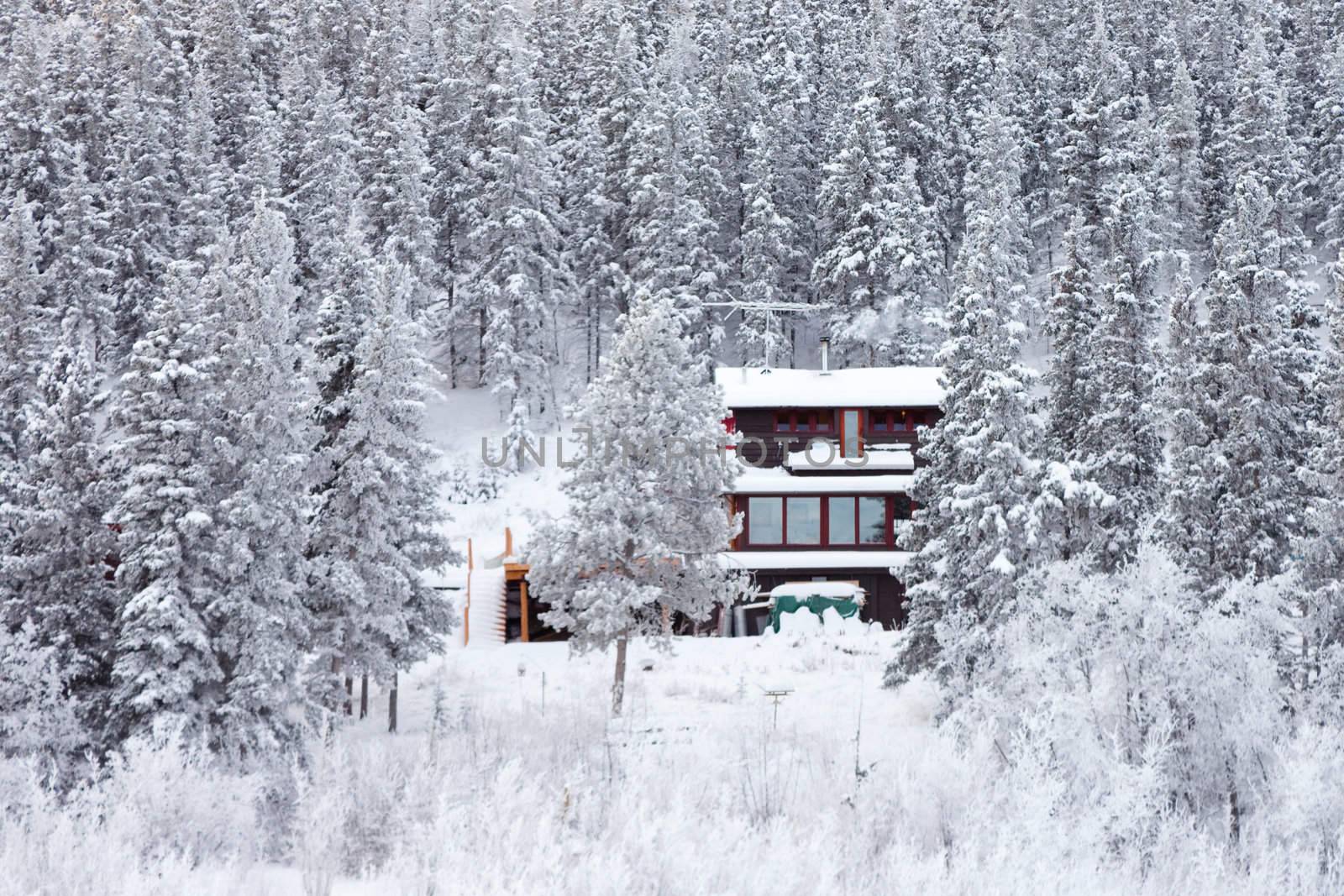 White Christmas winter house isolated in the woods between snow covered spruce trees.