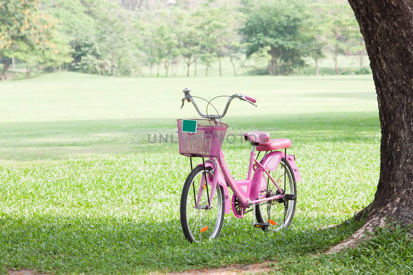 Pink Bicycle in park by Suriyaphoto