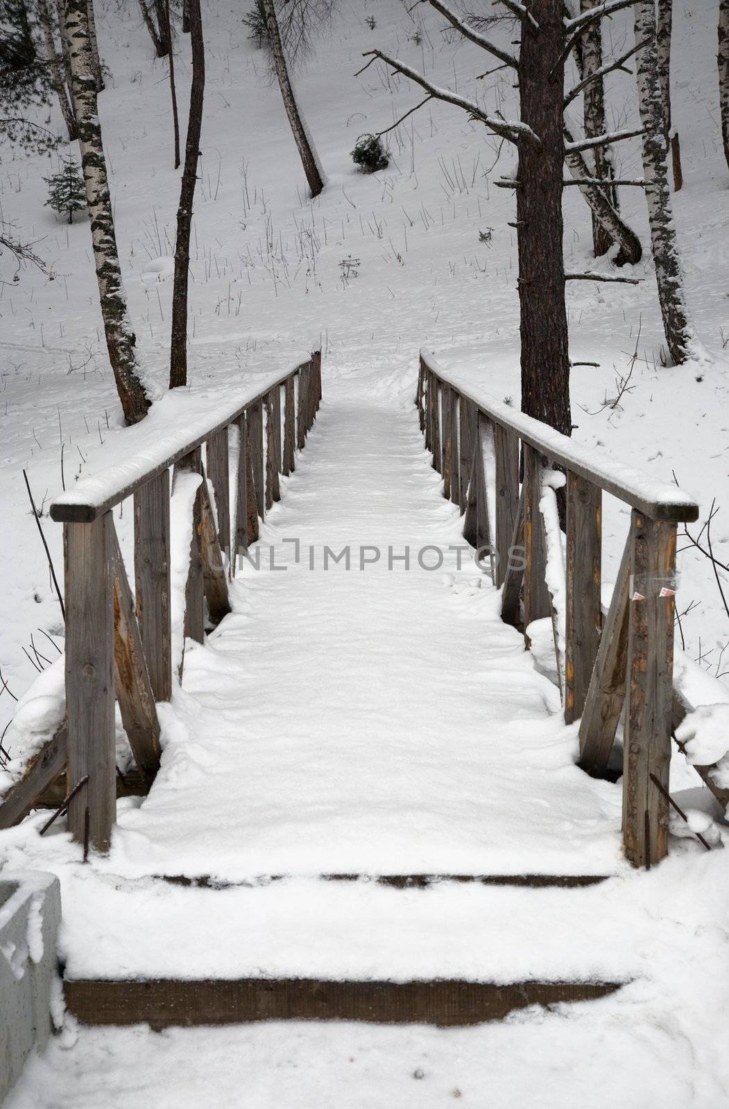 Wooden bridge. Belokurikha resort, february 2008