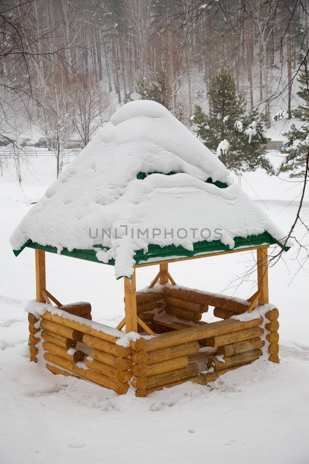 Winter scene. Snowstorm, February 2008, Belokurikha resort.