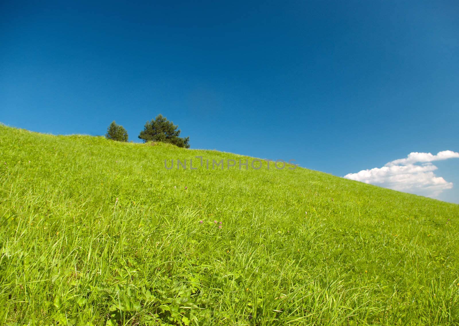 Year landscape,green hill,emerald herb, blue sky