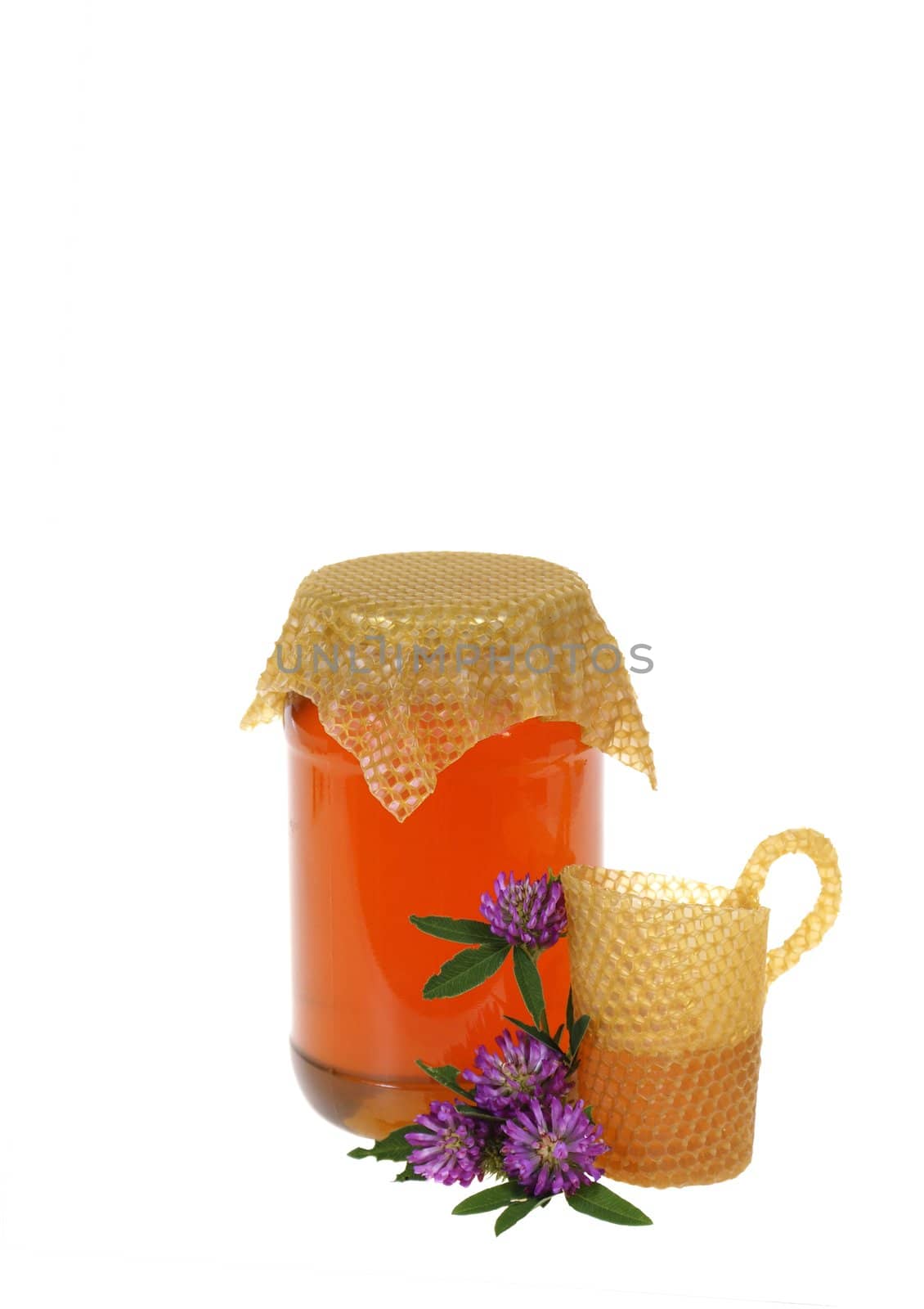 honey in jar with clover and jug isolated on white background