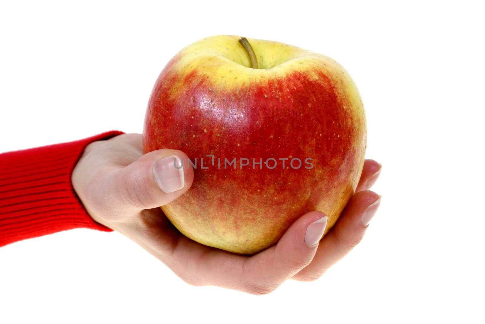 large apple kept in palm isolated on white background
