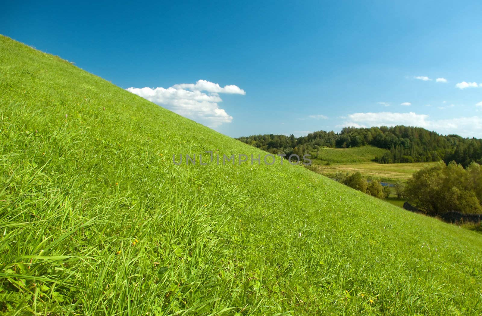 Year landscape,green hill,emerald herb, blue sky