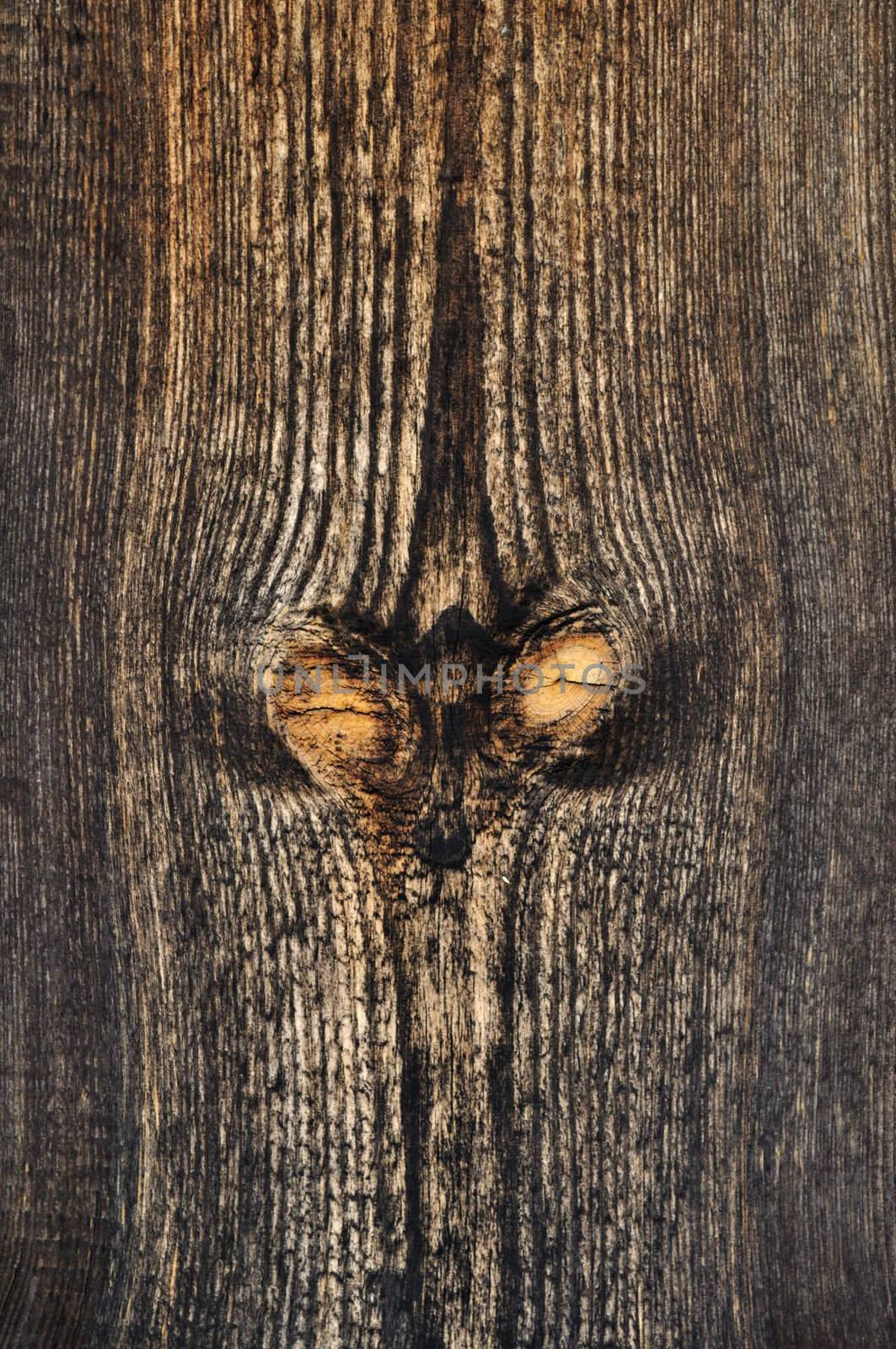 Close up of weathered wooden background with knots