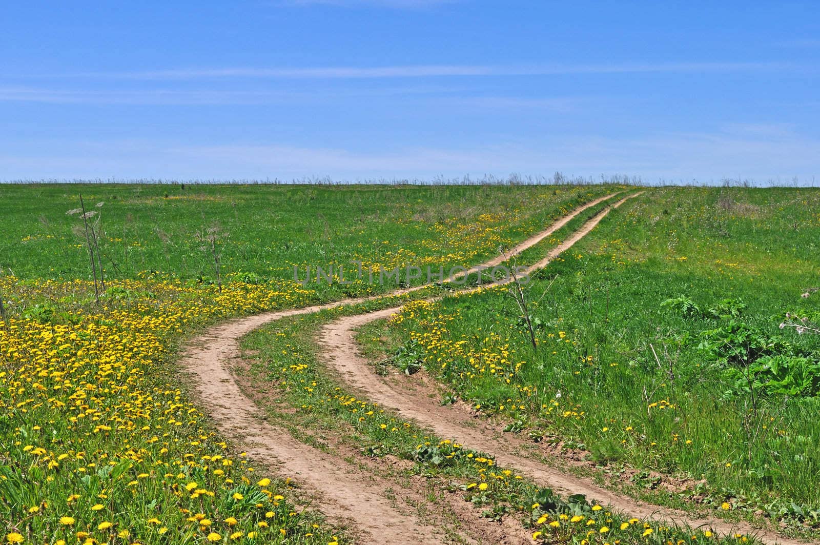 Country dirt road across the field, spring sunny day