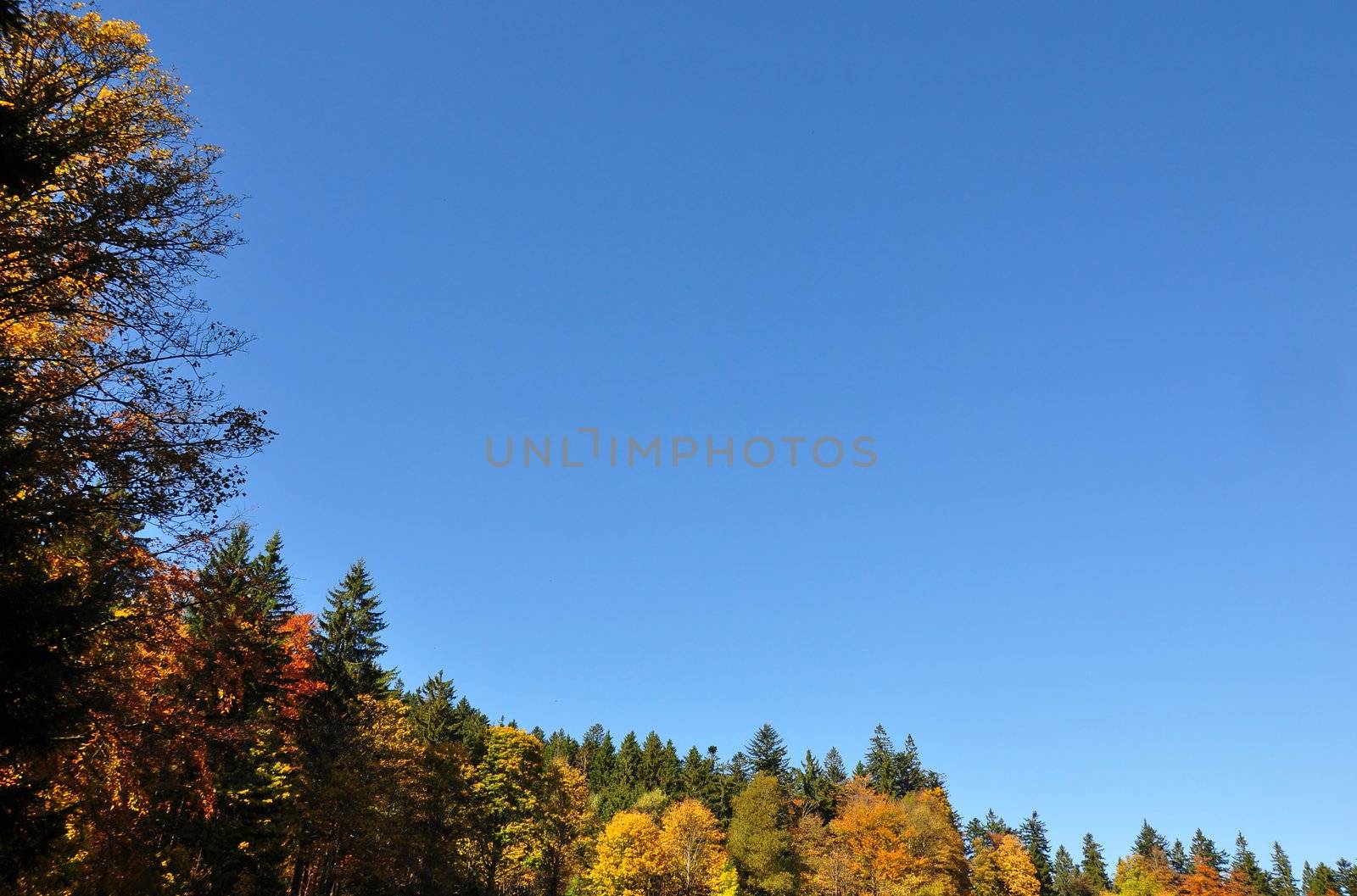 Fall frame with copy space