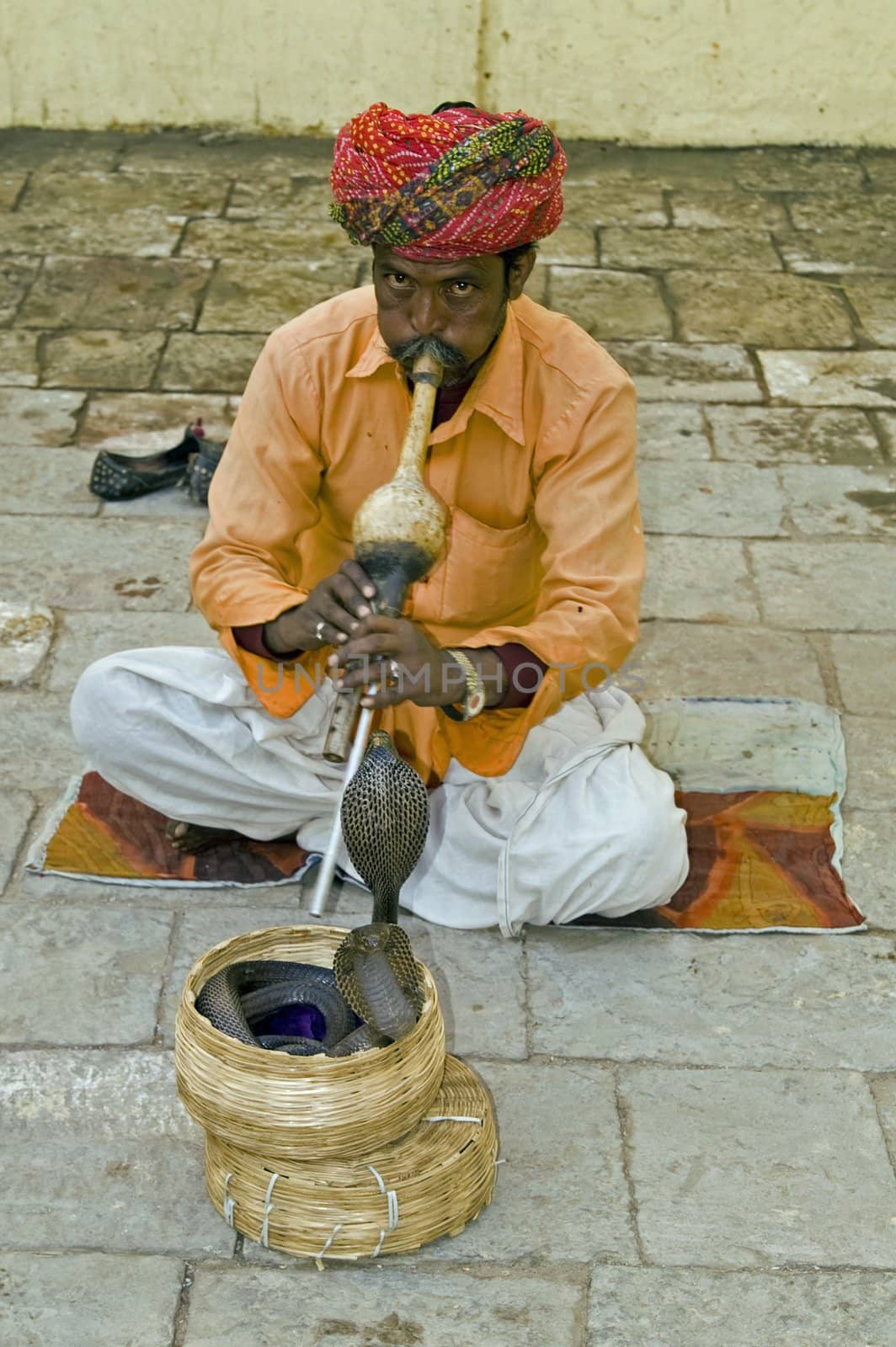Snake charmer playing musical instrument whilst two snakes emerge from a basket