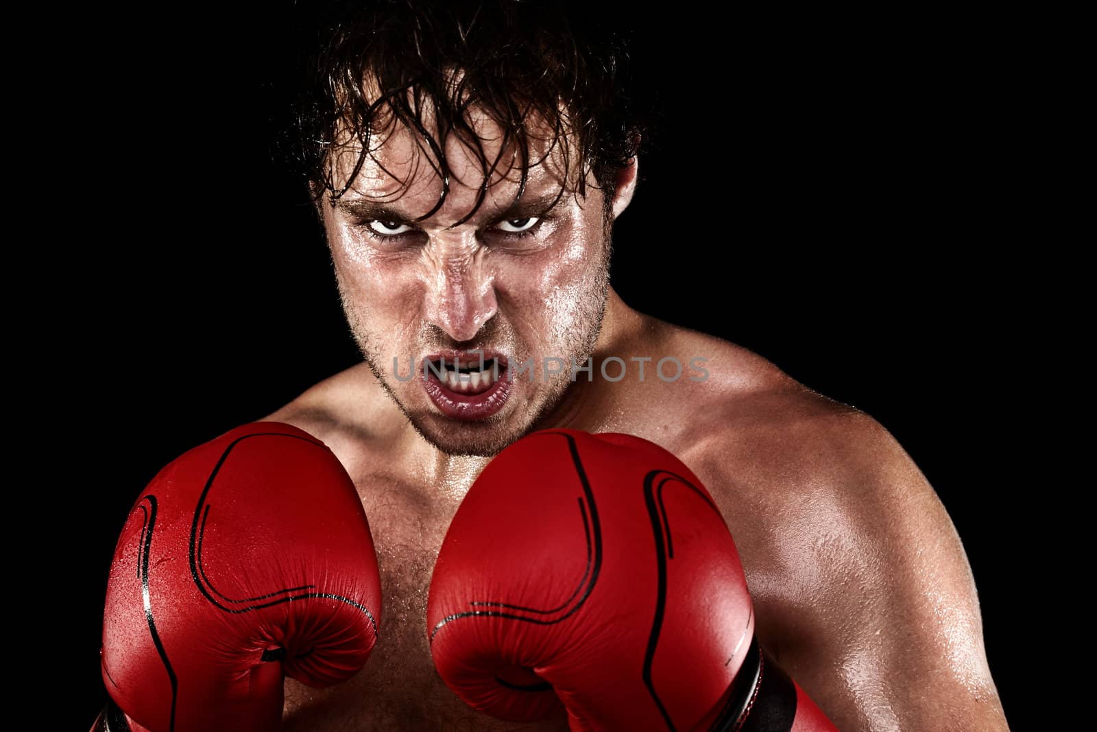 Boxer Boxing by Maridav
