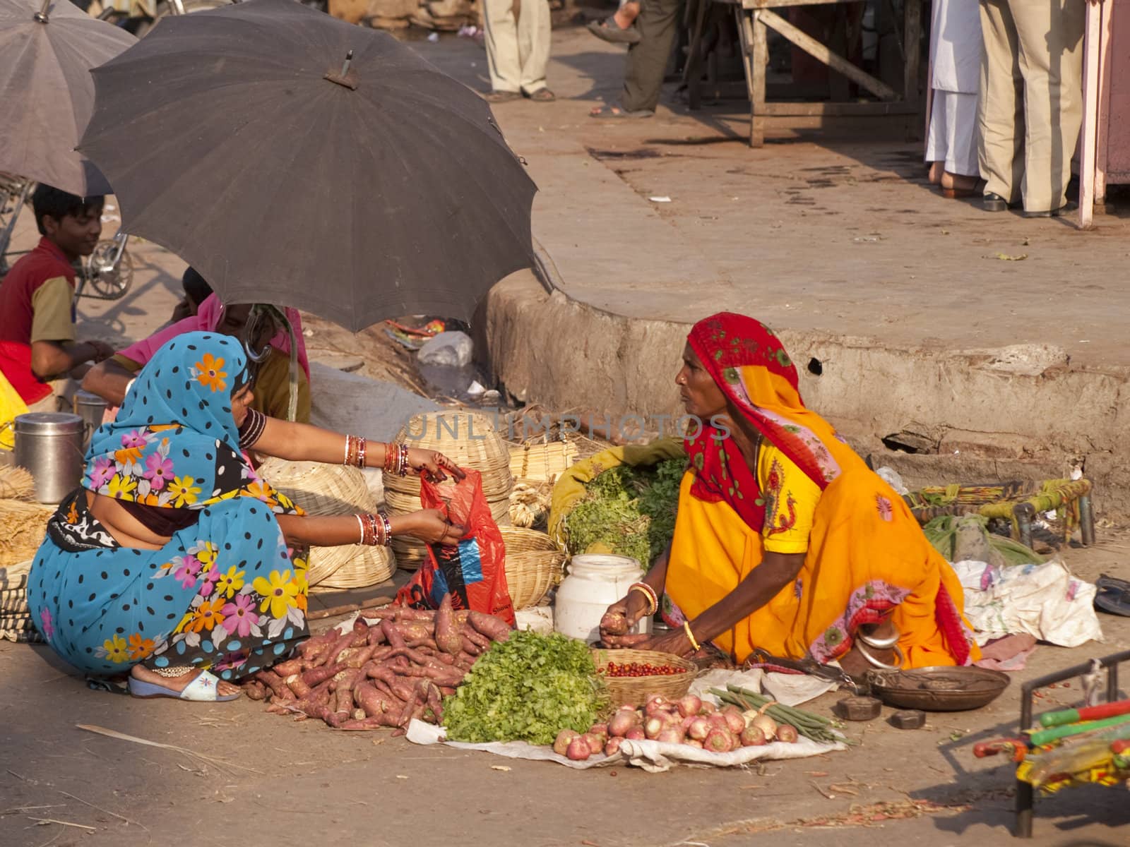 Woman selling vegetables by the road in Jaipur, Rajasthan, India.