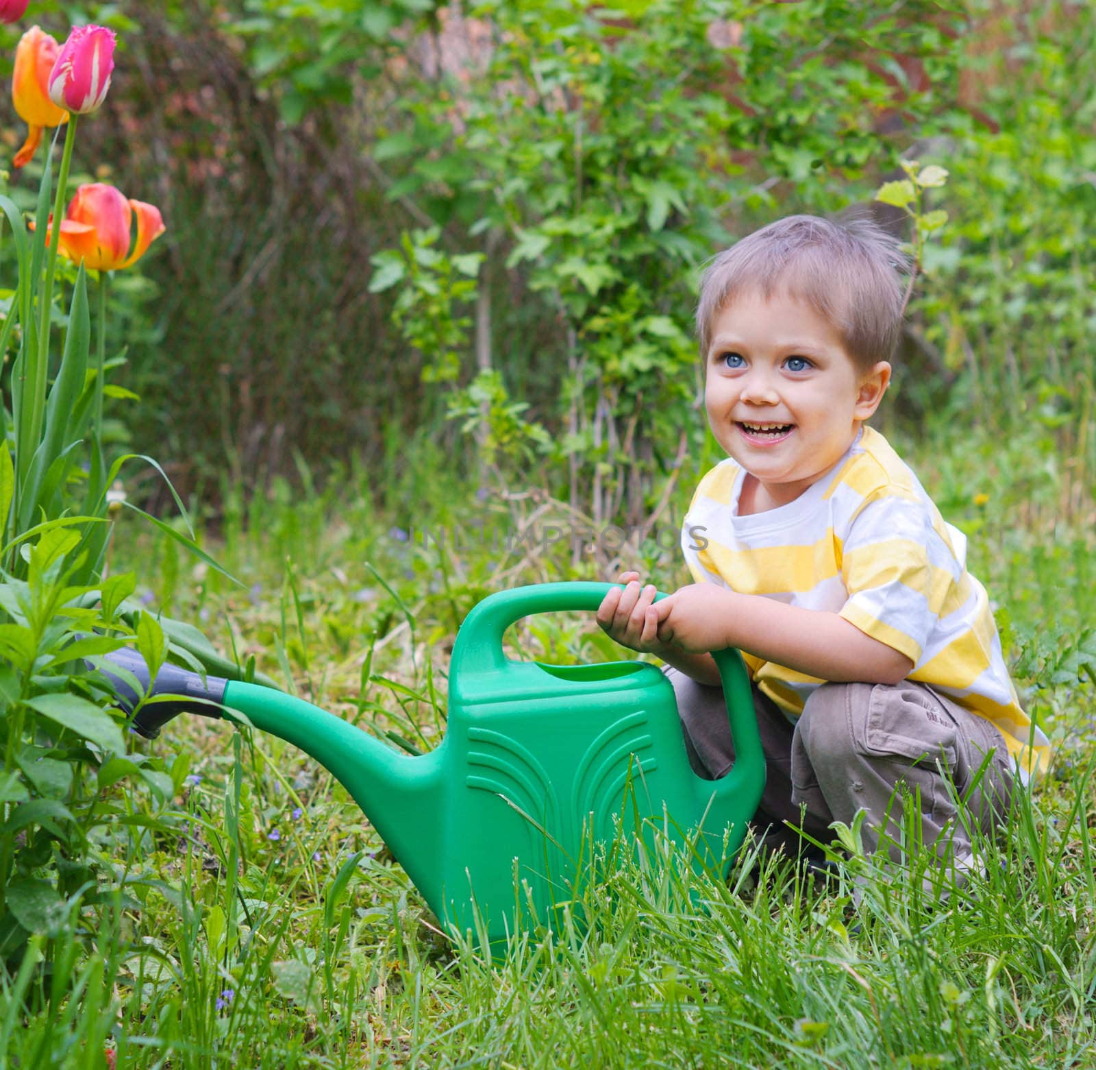 Cute little boy watering the flowers in the garden