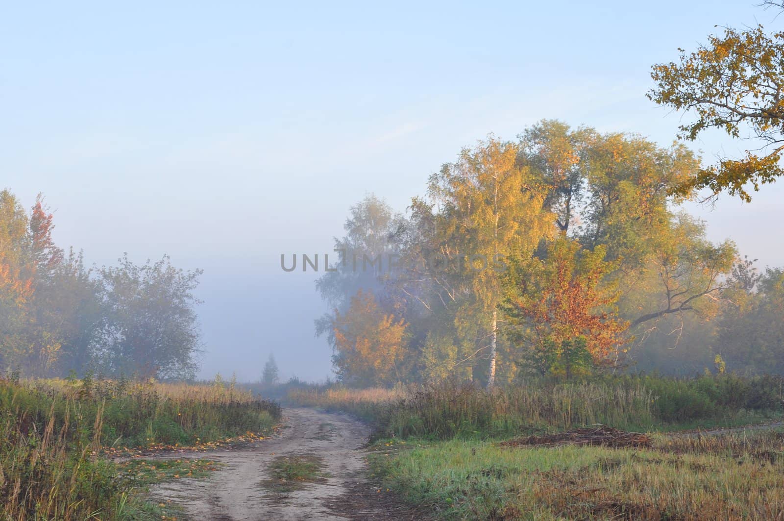 Autumn Siberian landscape, vicinities of a Moscow suburbs, Russia