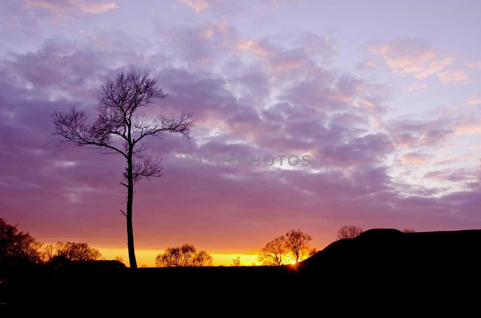 beautiful evening sunset background by alis_photo