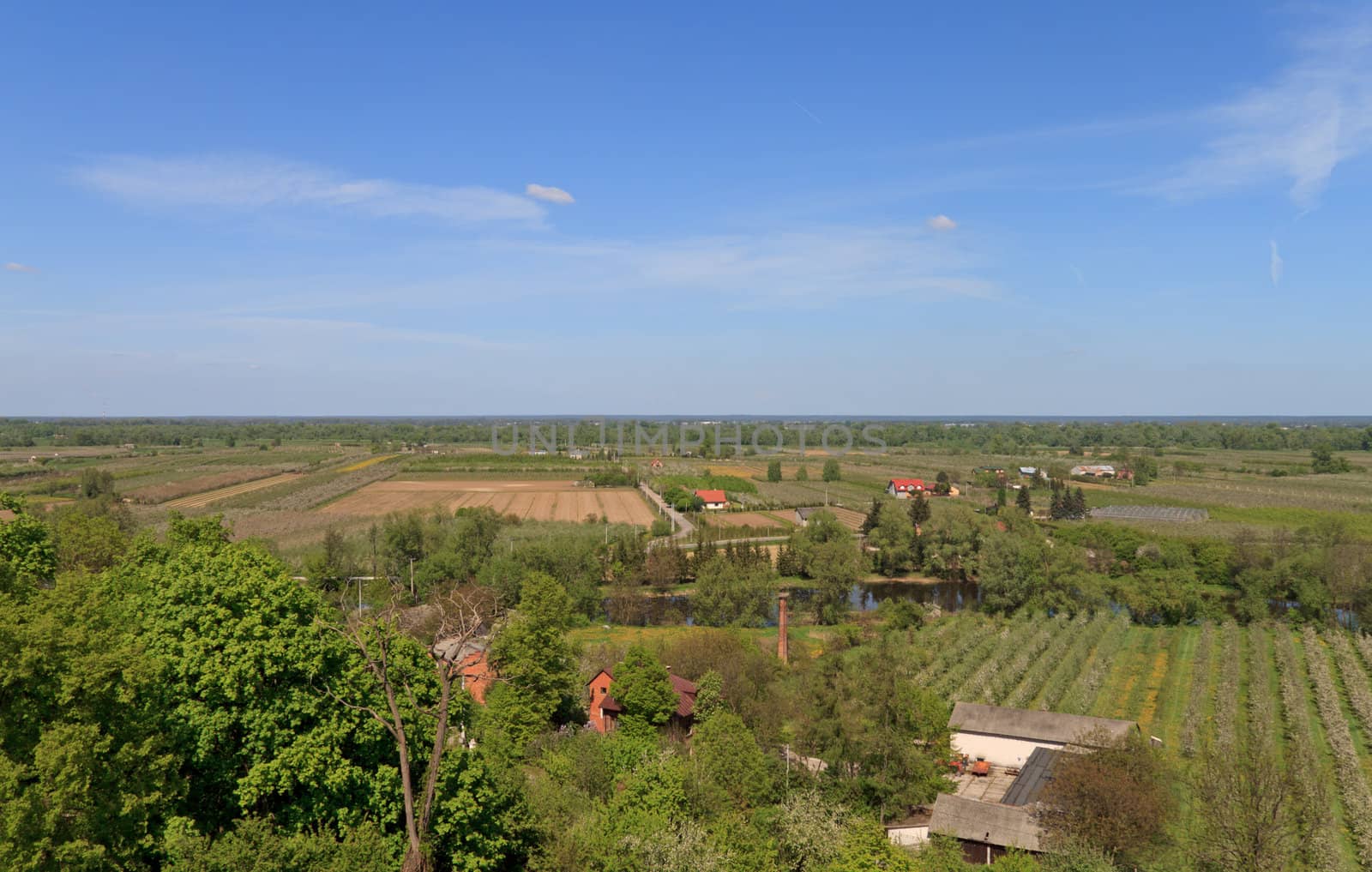 agricultural landscape  by aguirre_mar