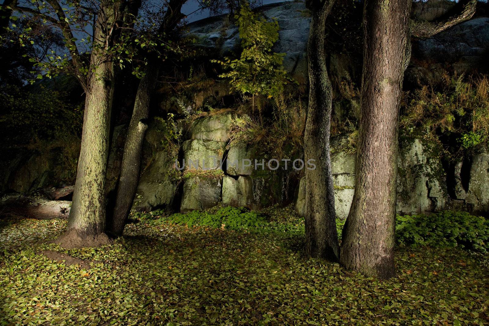 Autumn forest in night-time by flash lightning