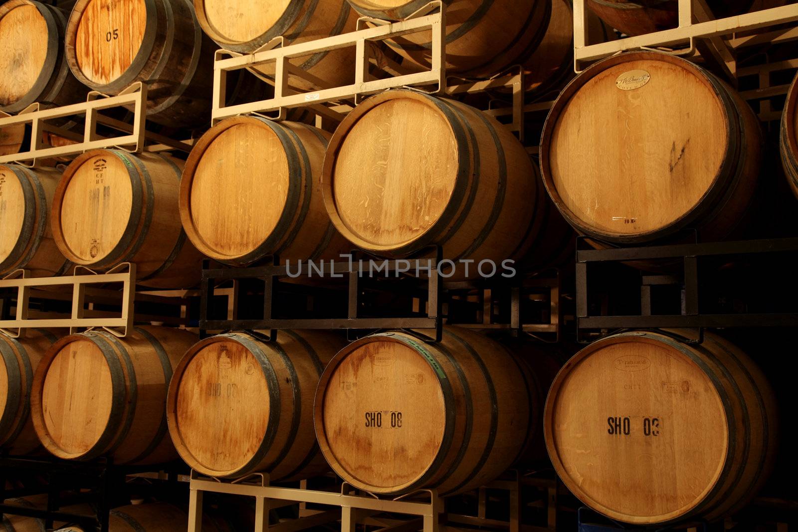 wine barrels by RainerPlendl