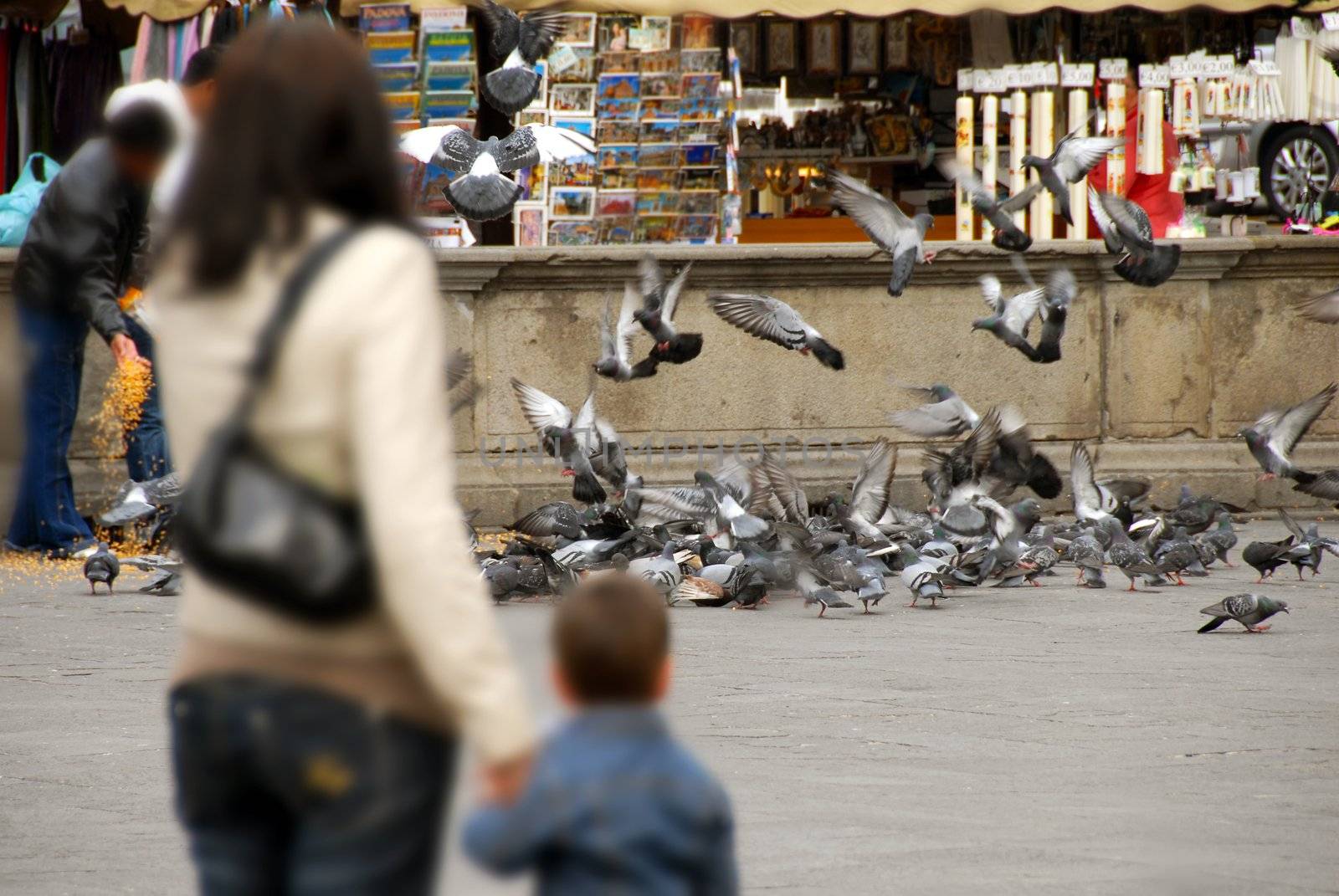 tourists feeding pigeons in Padua in front of Basilica di Sant'Antonio