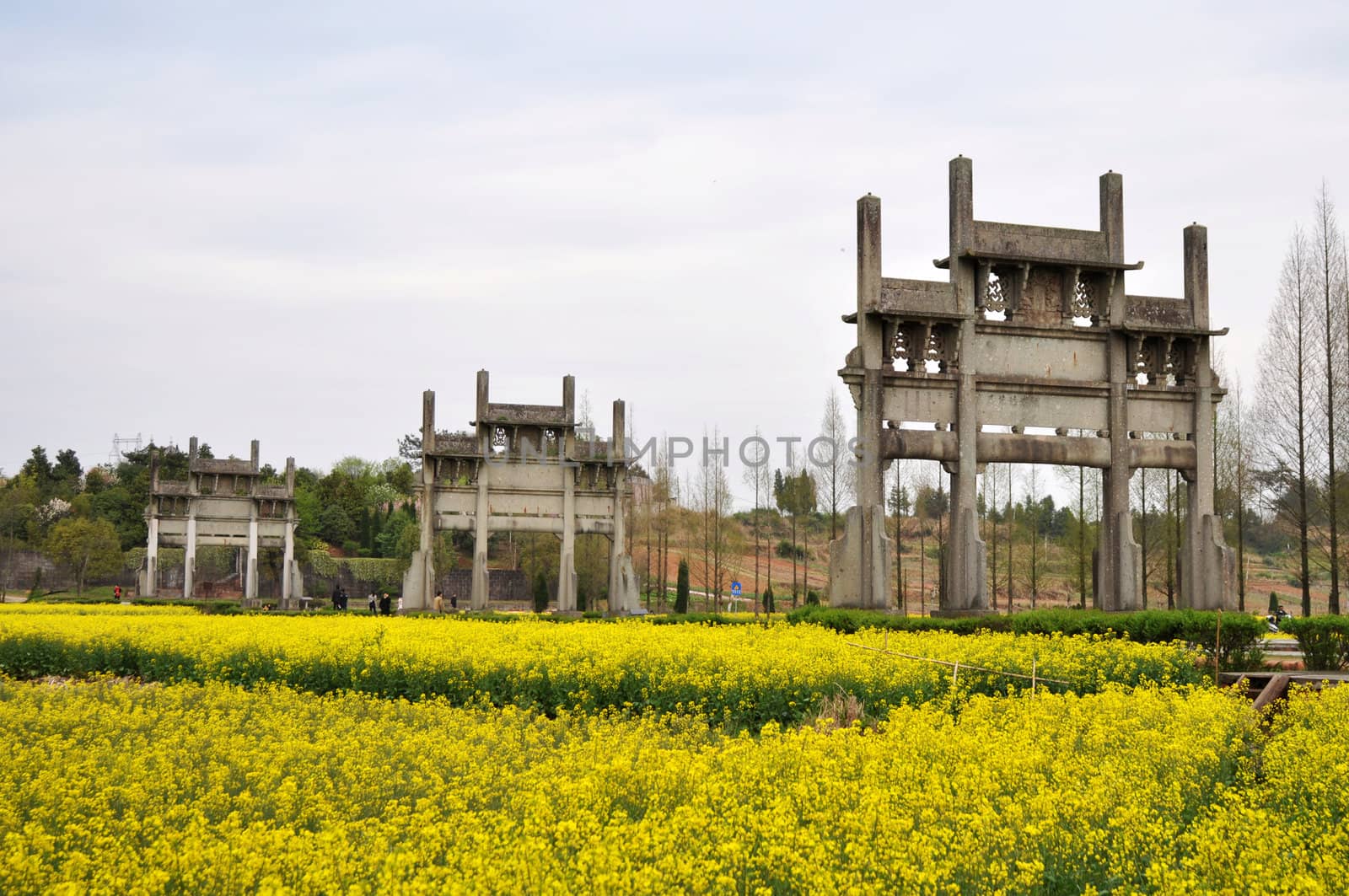 Landmark of Chinese ancient Memorial Archway in the blooming rapeseed fields